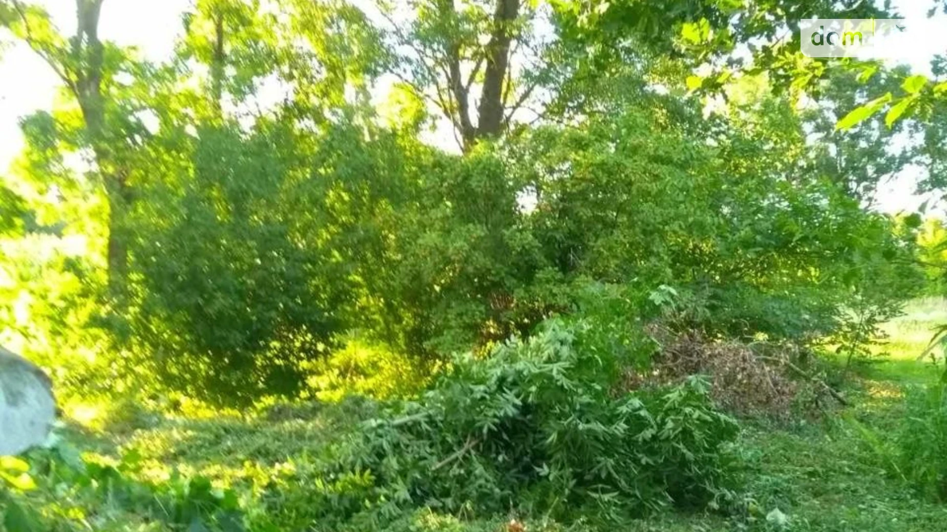 Продается земельный участок 50 соток в Хмельницкой области, цена: 12000 $ - фото 3