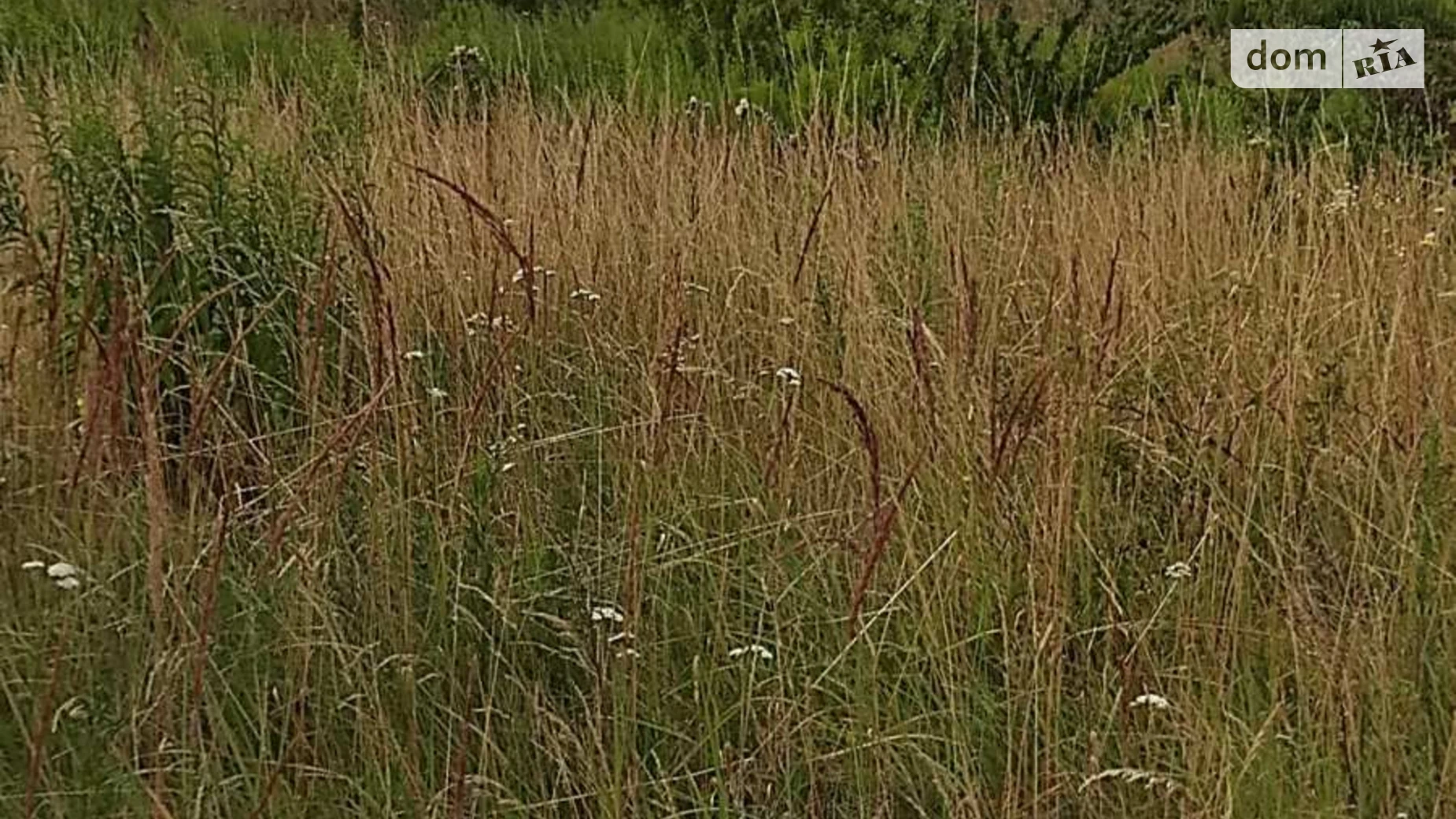 Продается земельный участок 12.1 соток в Львовской области, цена: 10000 $ - фото 3