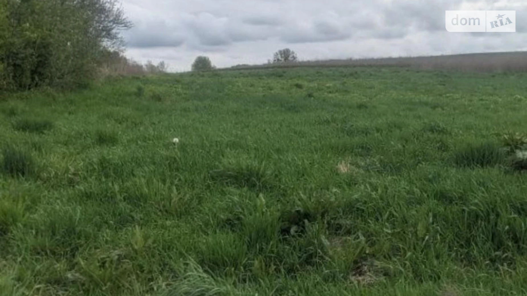 Продается земельный участок 10.5 соток в Львовской области, цена: 10500 $ - фото 4