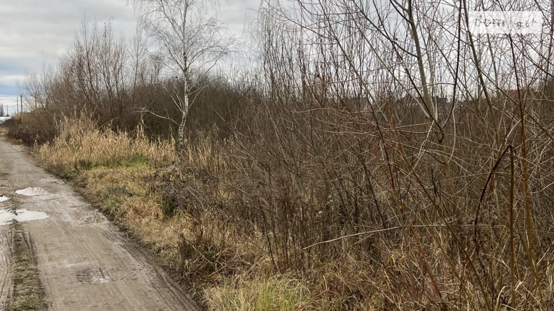 пр. Наливайко Северина Крошня Житомир, цена: 21000 $ - фото 2