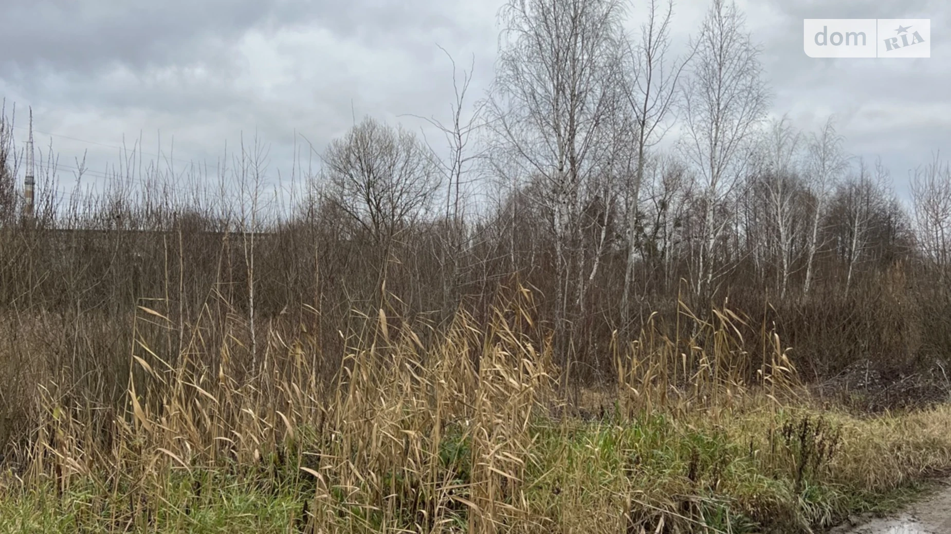 пр. Наливайко Северина Крошня Житомир, цена: 21000 $ - фото 3