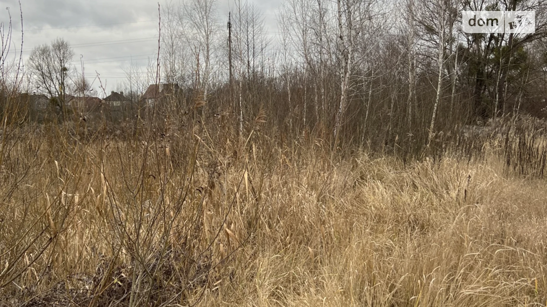 пр. Наливайко Северина Крошня Житомир, цена: 21000 $ - фото 4