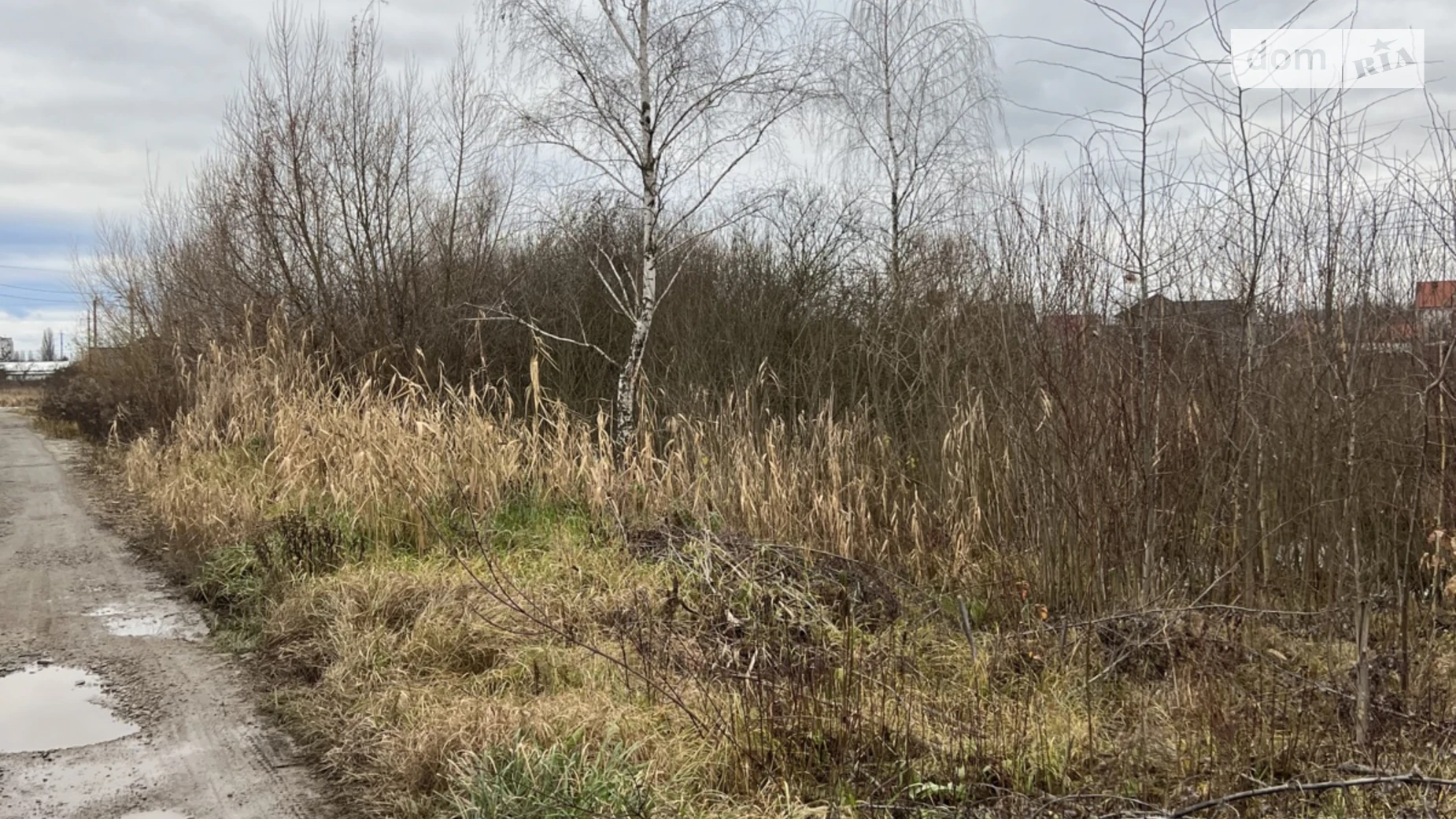 пр. Наливайко Северина Крошня Житомир, цена: 21000 $ - фото 5