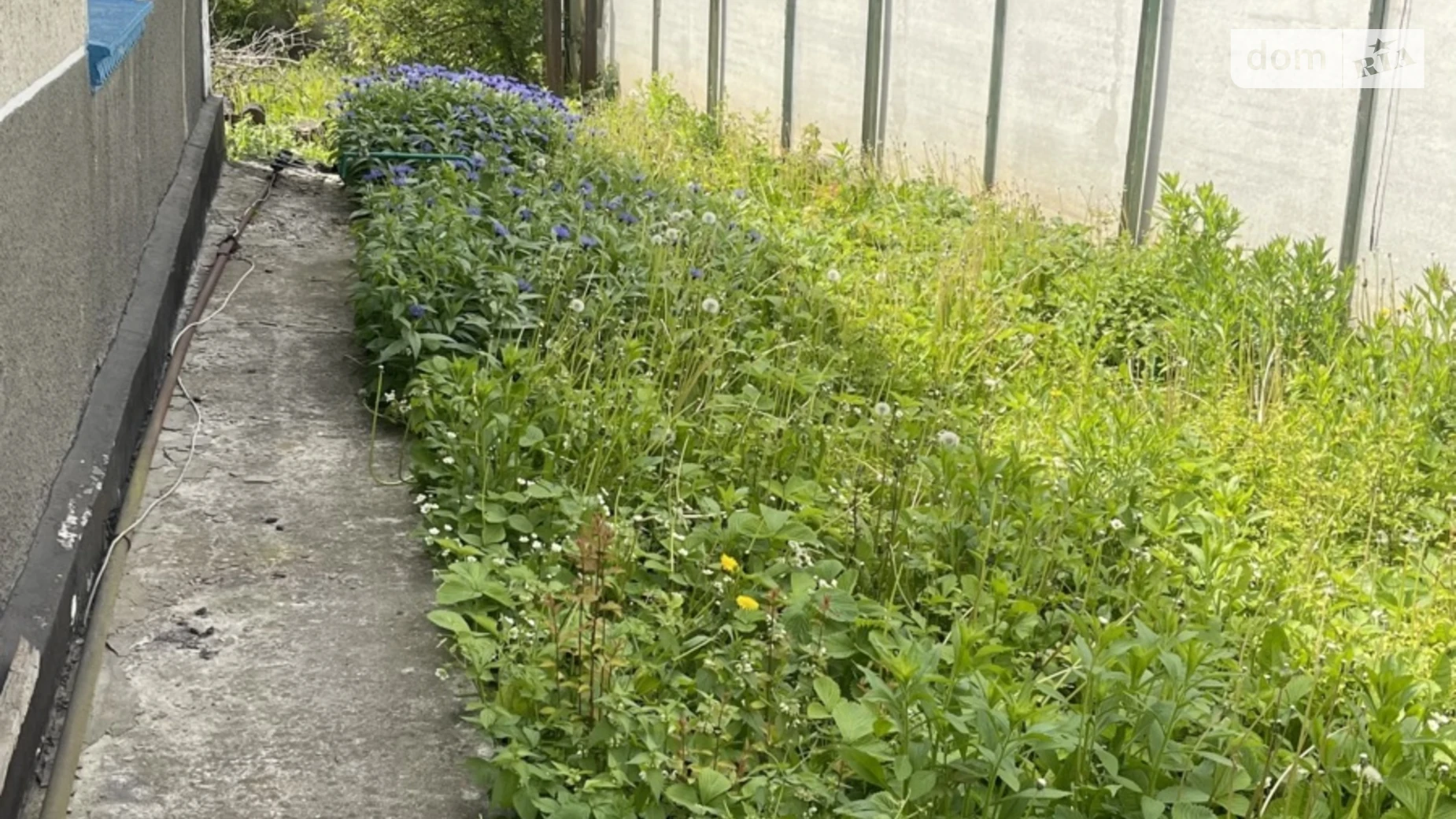 Продается одноэтажный дом 104 кв. м с беседкой, цена: 46000 $ - фото 2