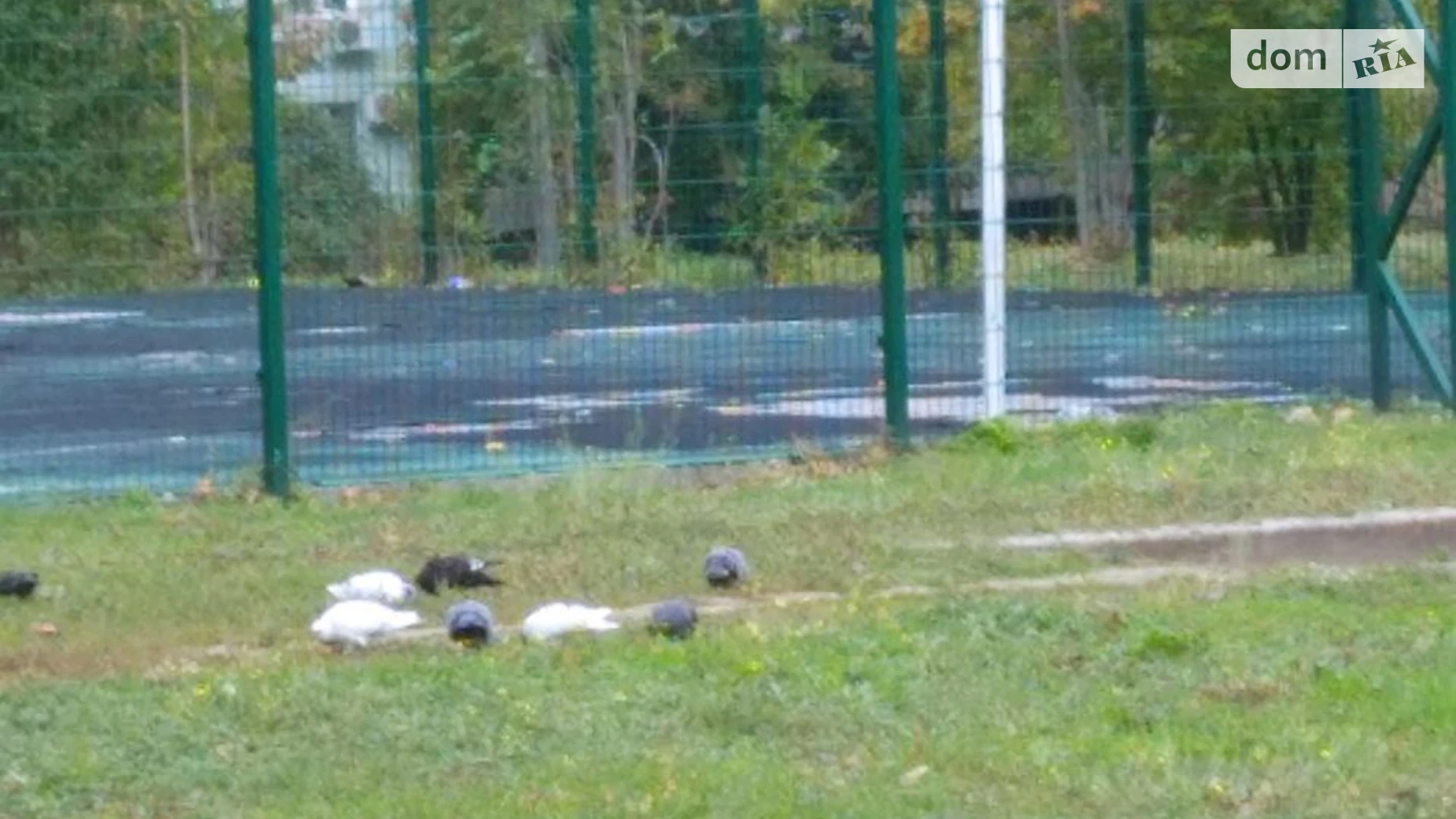 2-комнатная квартира 51.56 кв. м в Запорожье, ул. Василия Сергиенко, 33 - фото 4