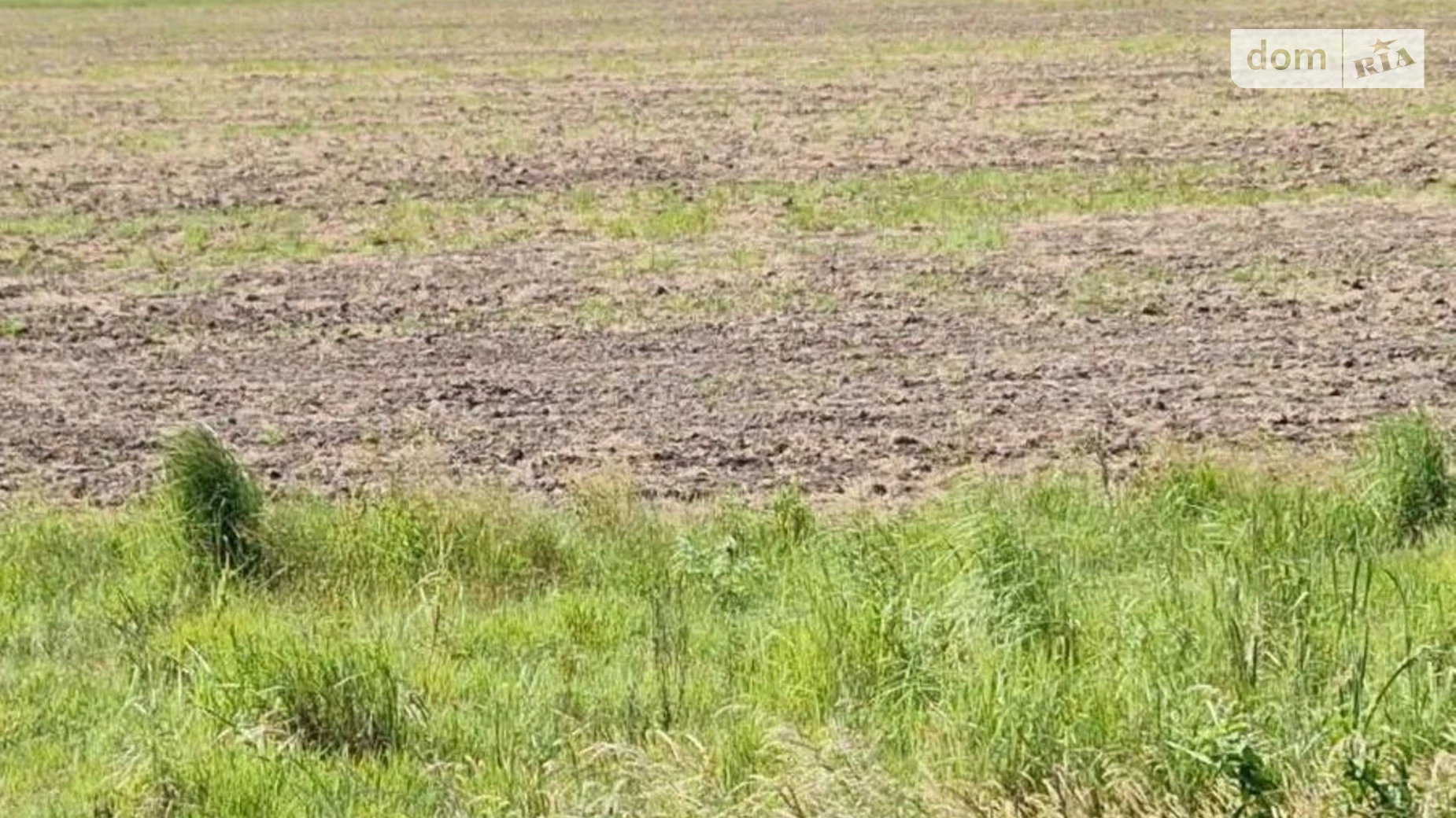 Давыдов, цена: 4651 грн - фото 2