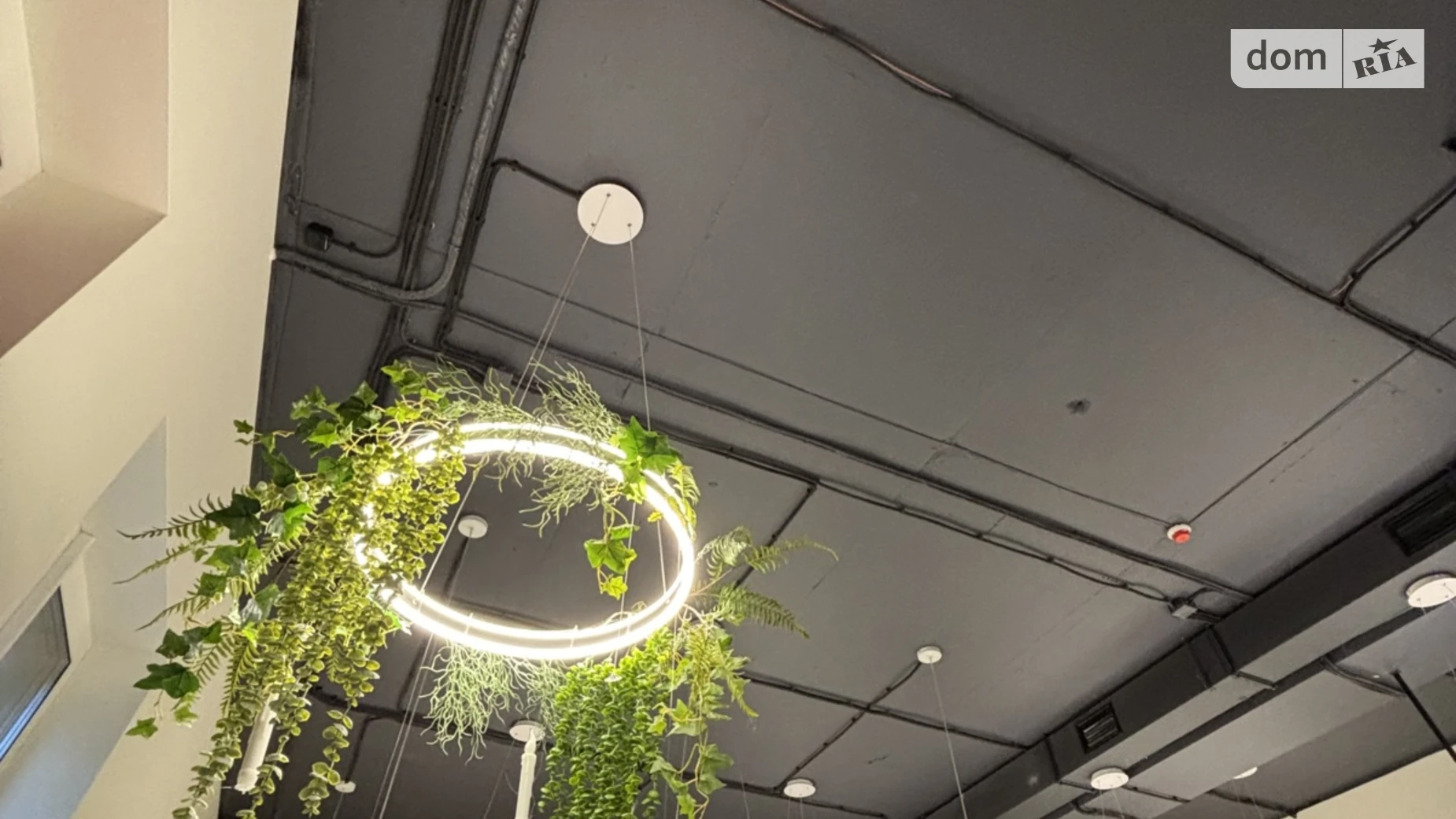 Продается помещения свободного назначения 80 кв. м в 16-этажном здании, цена: 45000 $ - фото 5