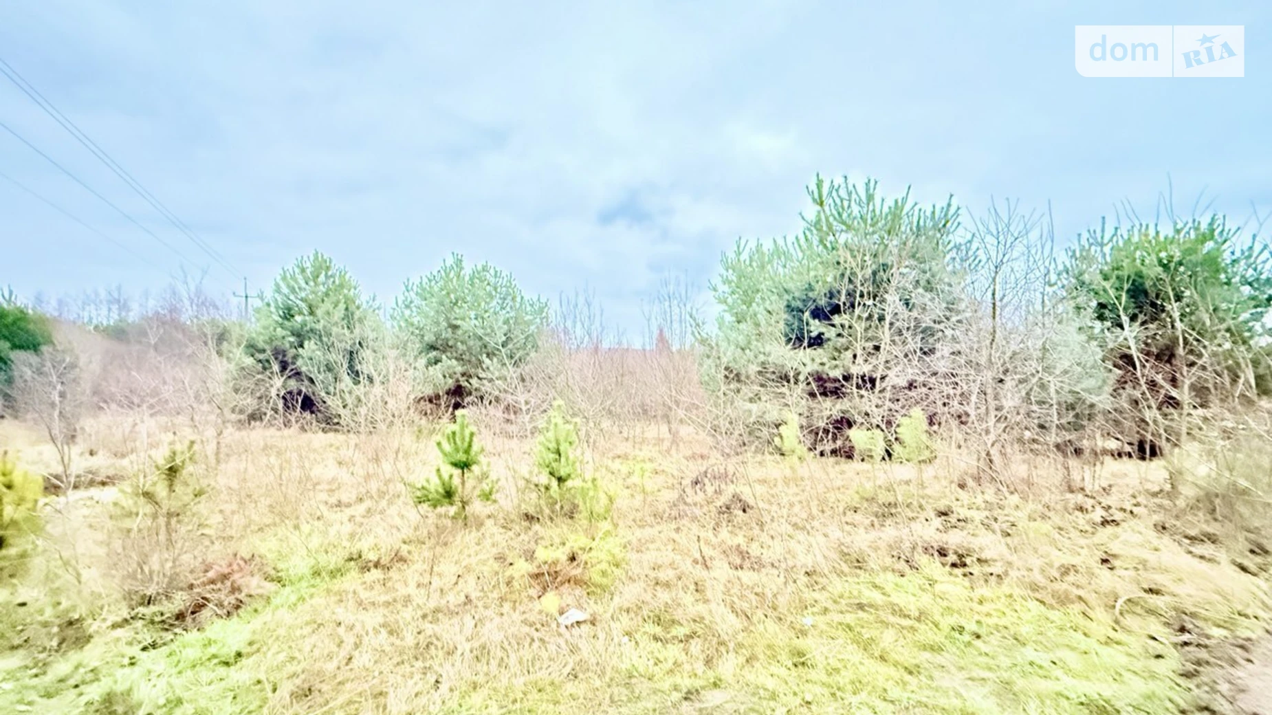 Продается земельный участок 25 соток в Волынской области, цена: 50000 € - фото 2