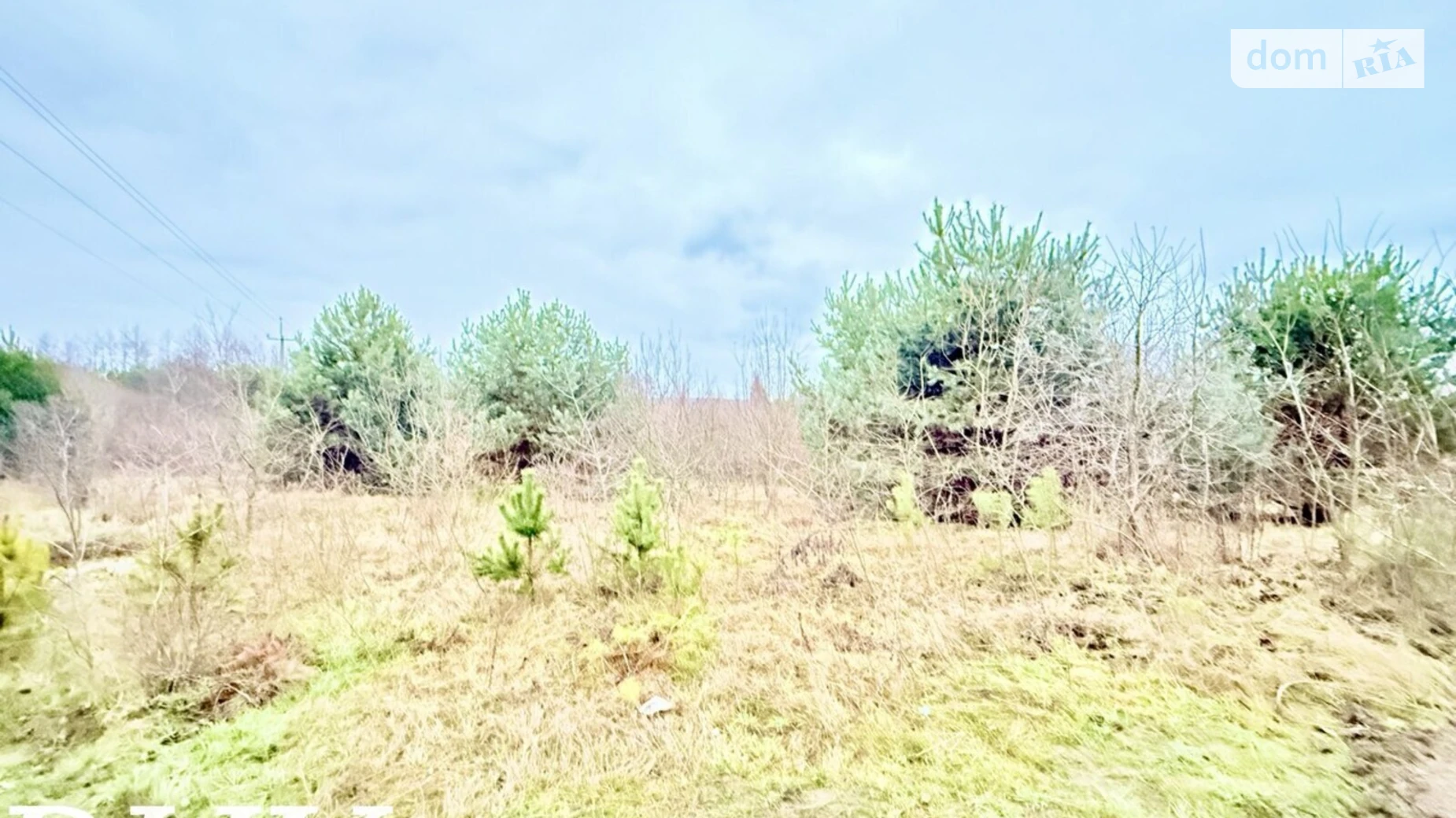 Продается земельный участок 25 соток в Волынской области, цена: 50000 € - фото 3