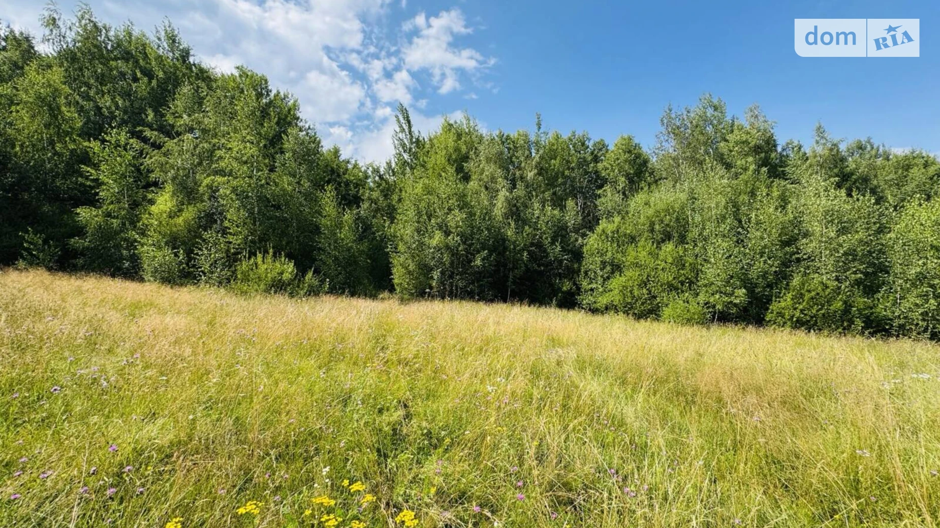 Продается земельный участок 17 соток в Ивано-Франковской области, цена: 11500 $ - фото 2