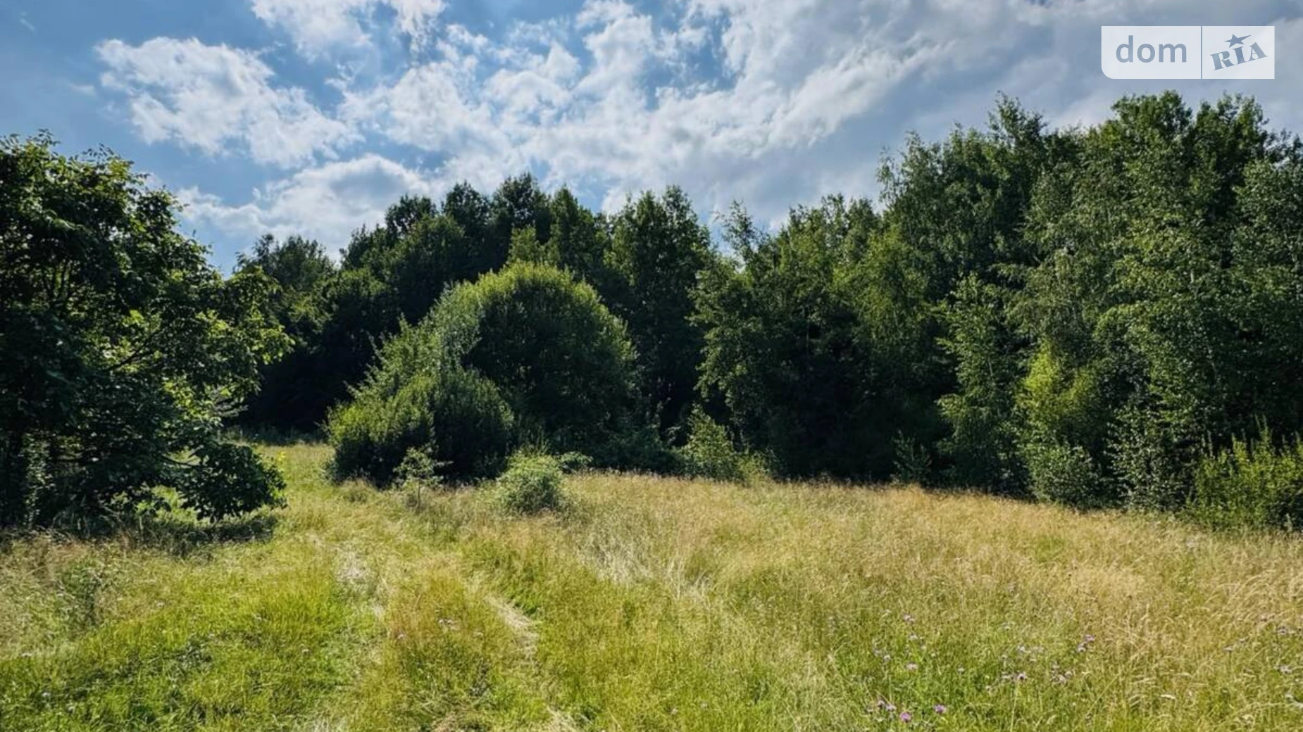 Продается земельный участок 17 соток в Ивано-Франковской области, цена: 11500 $ - фото 3