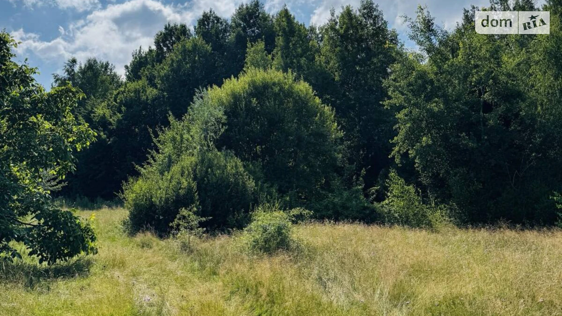 Продается земельный участок 17 соток в Ивано-Франковской области, цена: 11500 $ - фото 4