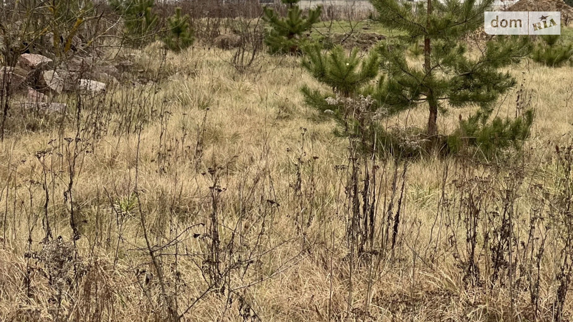 Сонячне, цена: 25000 $ - фото 5