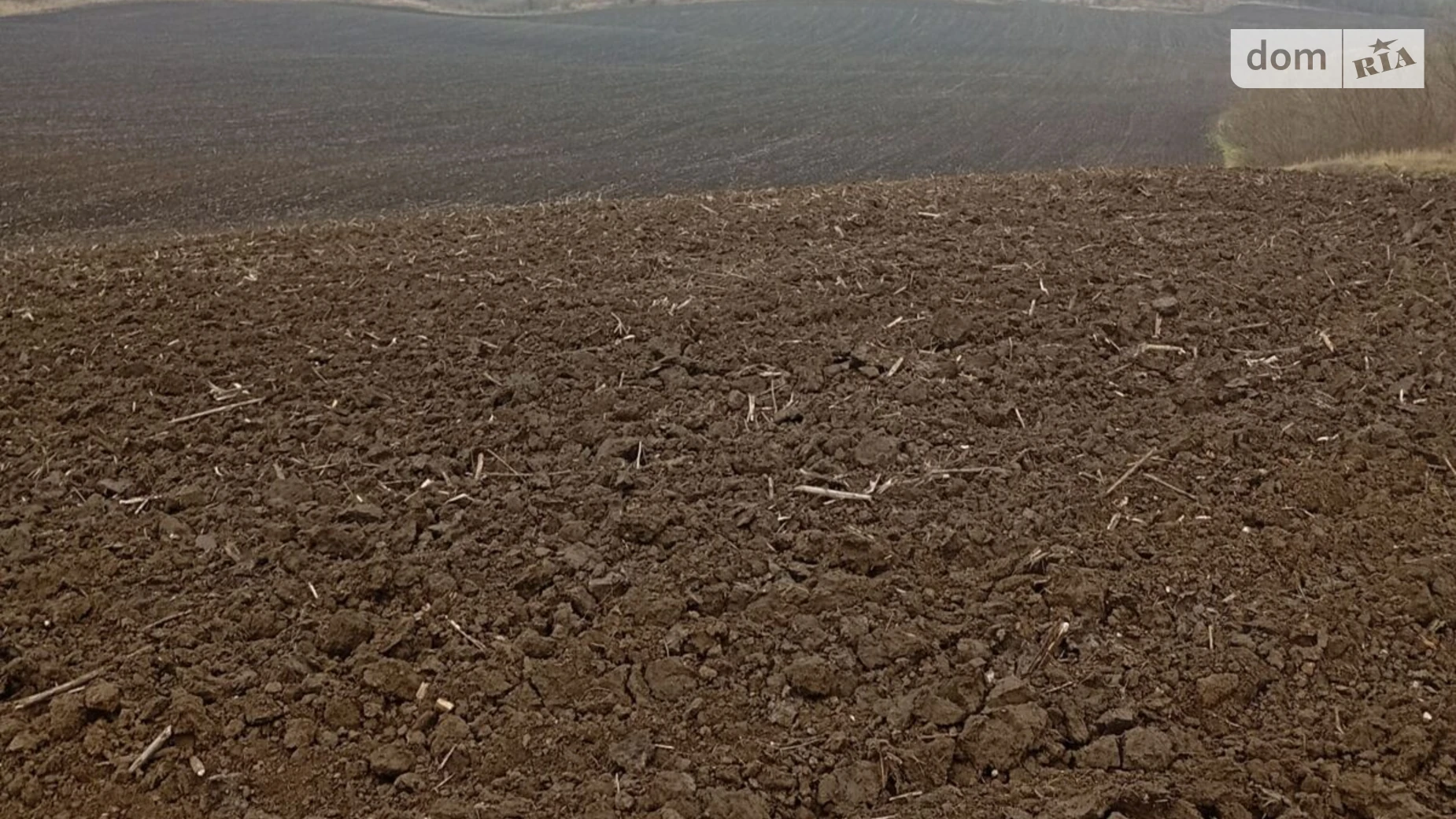 Здається в оренду земельна ділянка 15.5667 соток у  області, цена: 50337 грн - фото 2