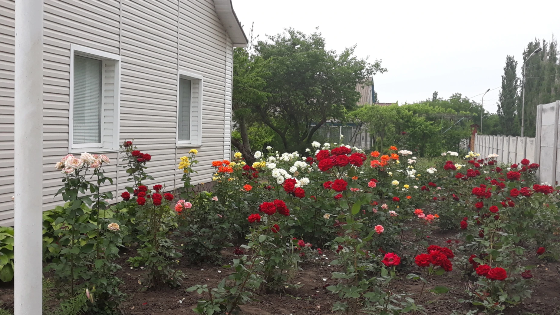 Продается одноэтажный дом 130.9 кв. м с балконом, цена: 34000 $ - фото 2