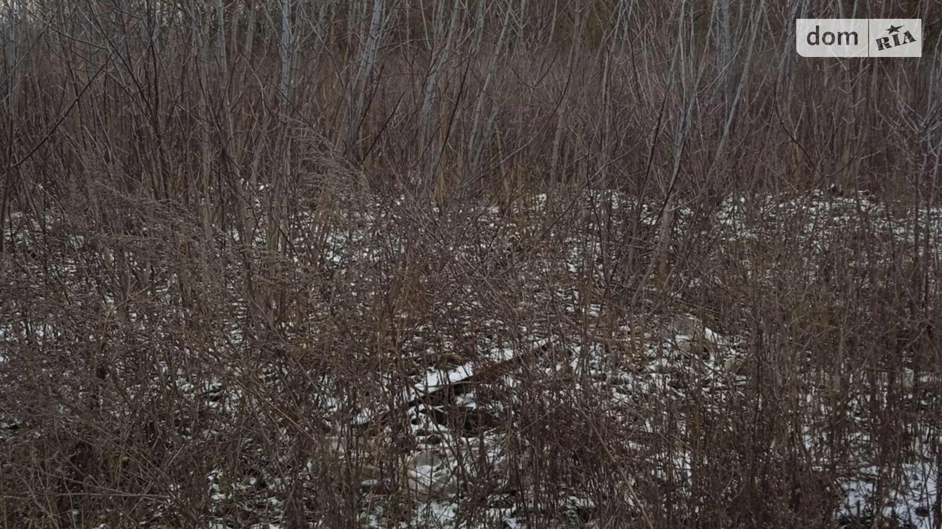 Здається в оренду земельна ділянка 0.05 соток у Сумській області, цена: 203 грн - фото 2