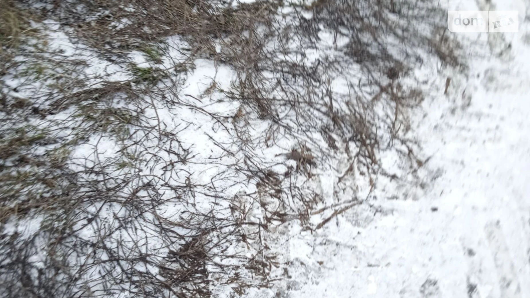 Здається в оренду земельна ділянка 0.05 соток у Сумській області, цена: 203 грн - фото 3