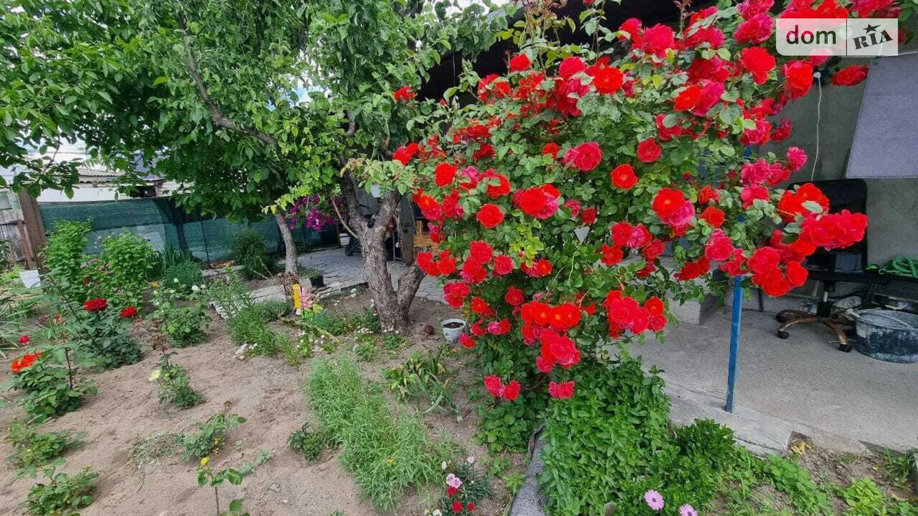 Сдается в аренду одноэтажный дом 45 кв. м с террасой, цена: 5500 грн - фото 2