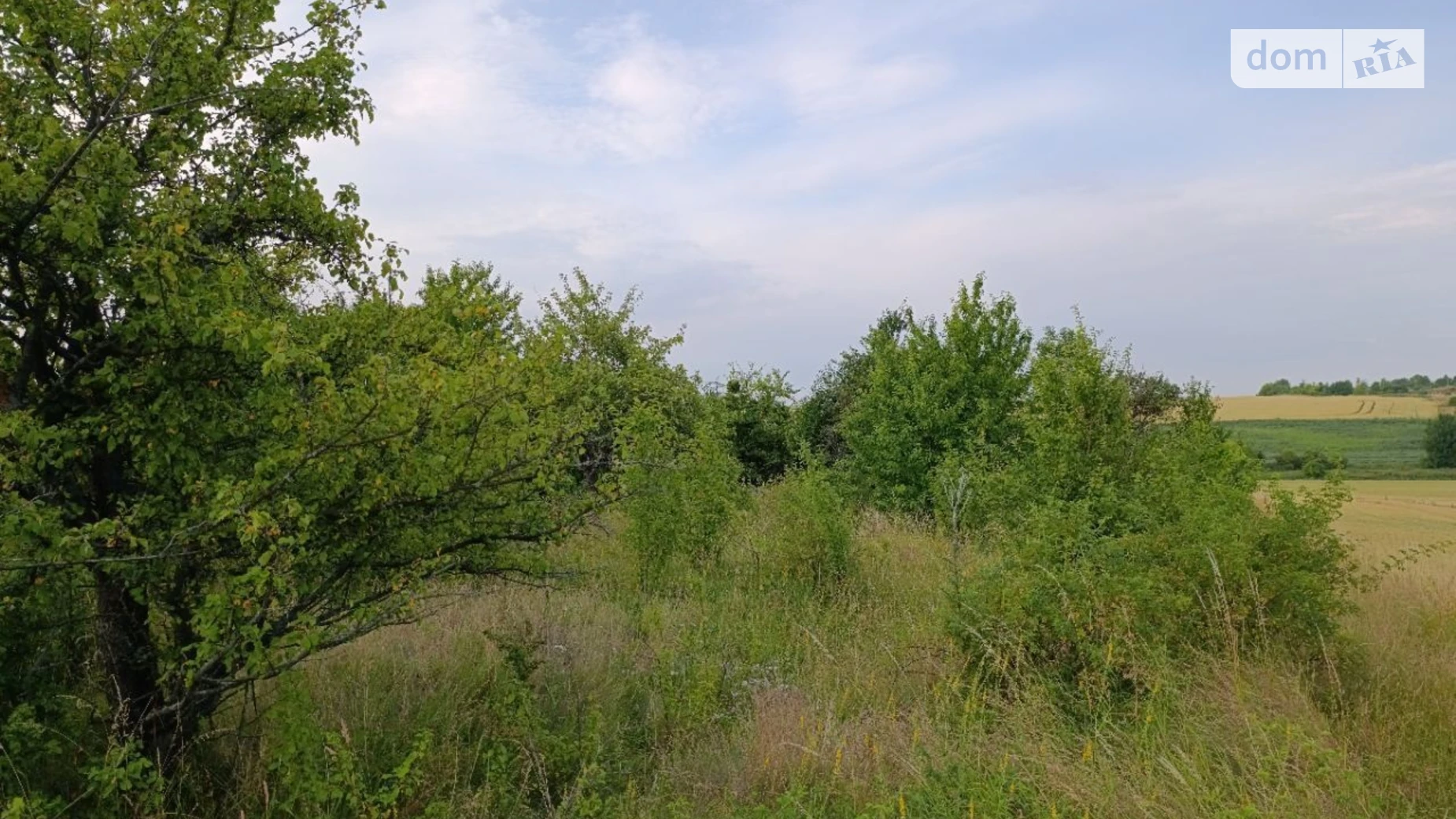 Здається в оренду земельна ділянка 16.9942 соток у Хмельницькій області, цена: 35372 грн - фото 2