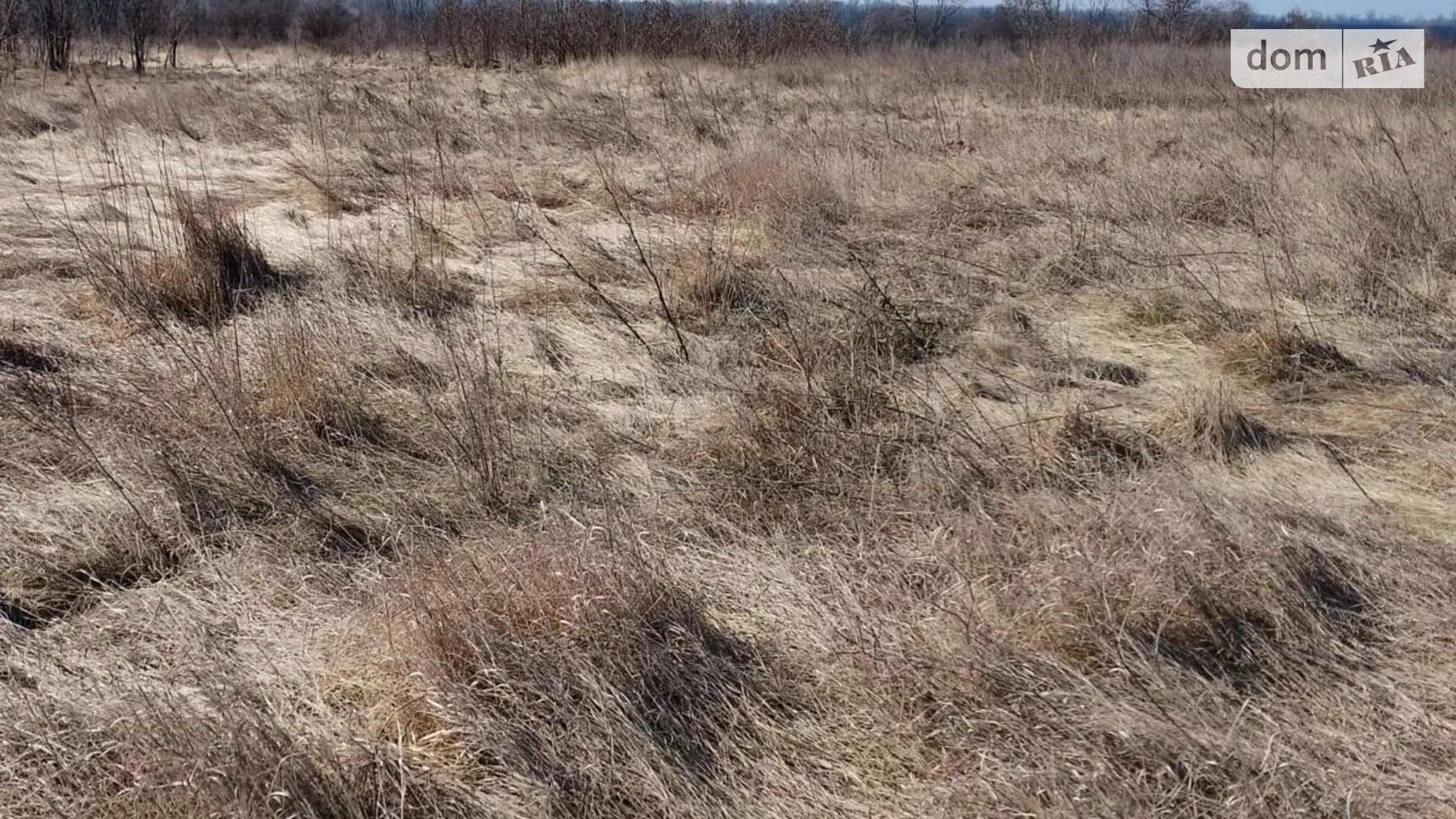 Сдается в аренду земельный участок 16.7081 соток в области, цена: 78308 грн - фото 2