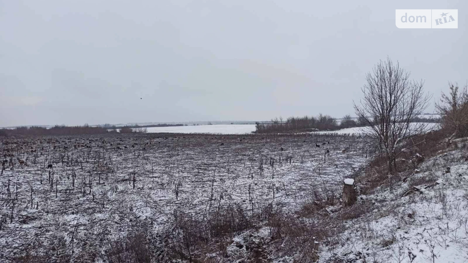 Сдается в аренду земельный участок 1.2109 соток в области, цена: 5658 грн - фото 2
