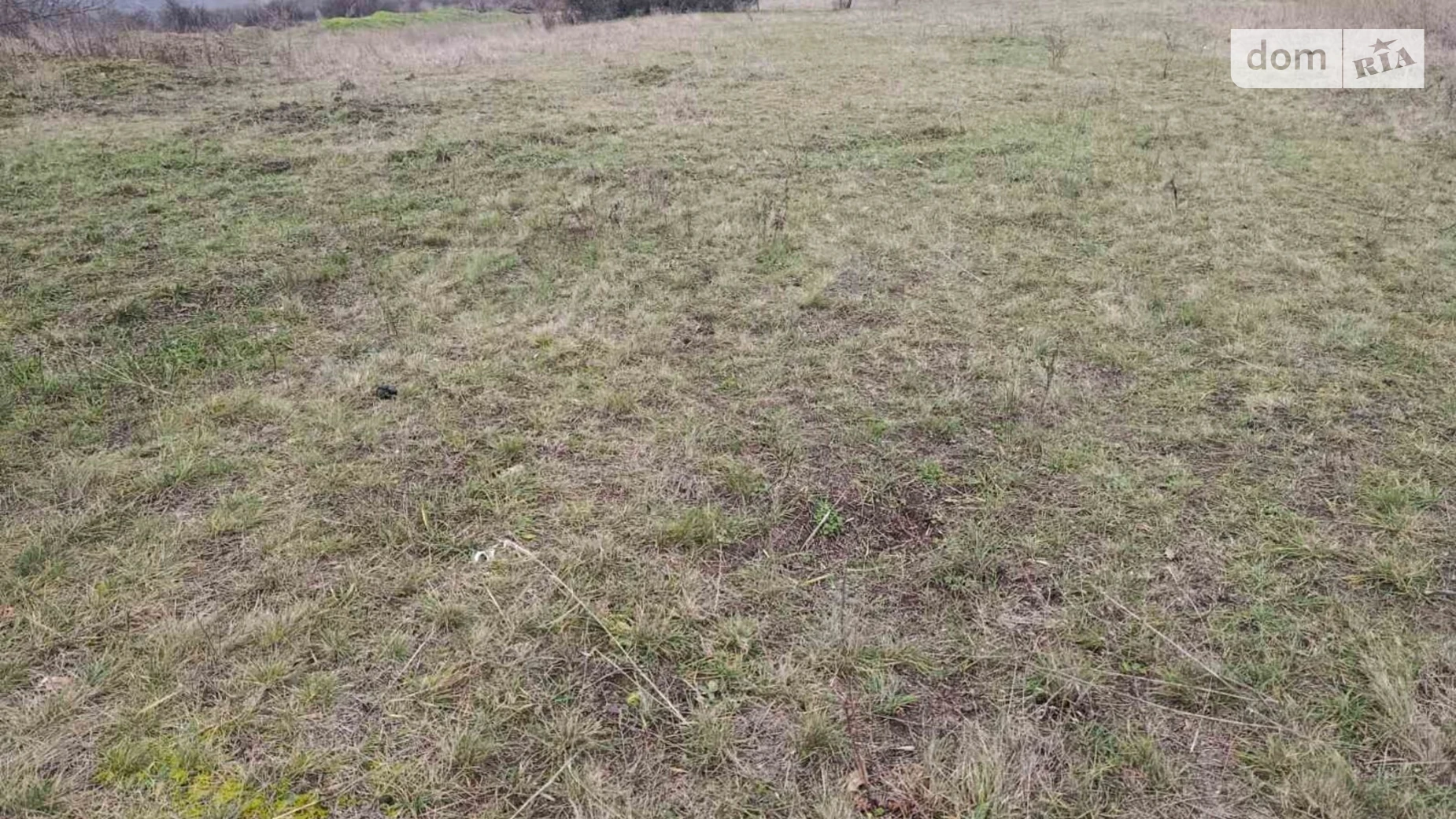 Сдается в аренду земельный участок 15.7766 соток в области, цена: 73098 грн - фото 3