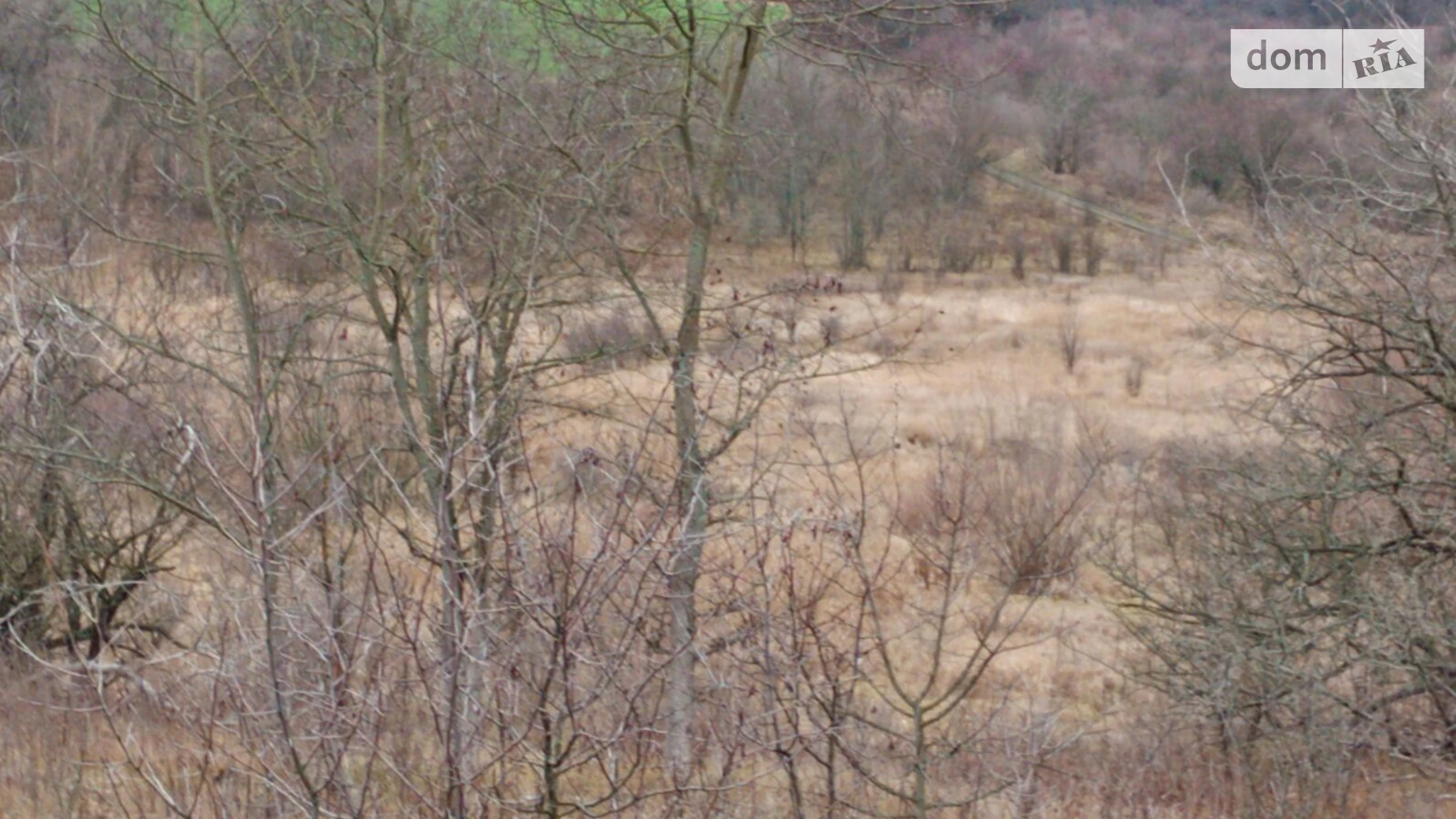 Сдается в аренду земельный участок 5.6452 соток в области, цена: 25903 грн - фото 3