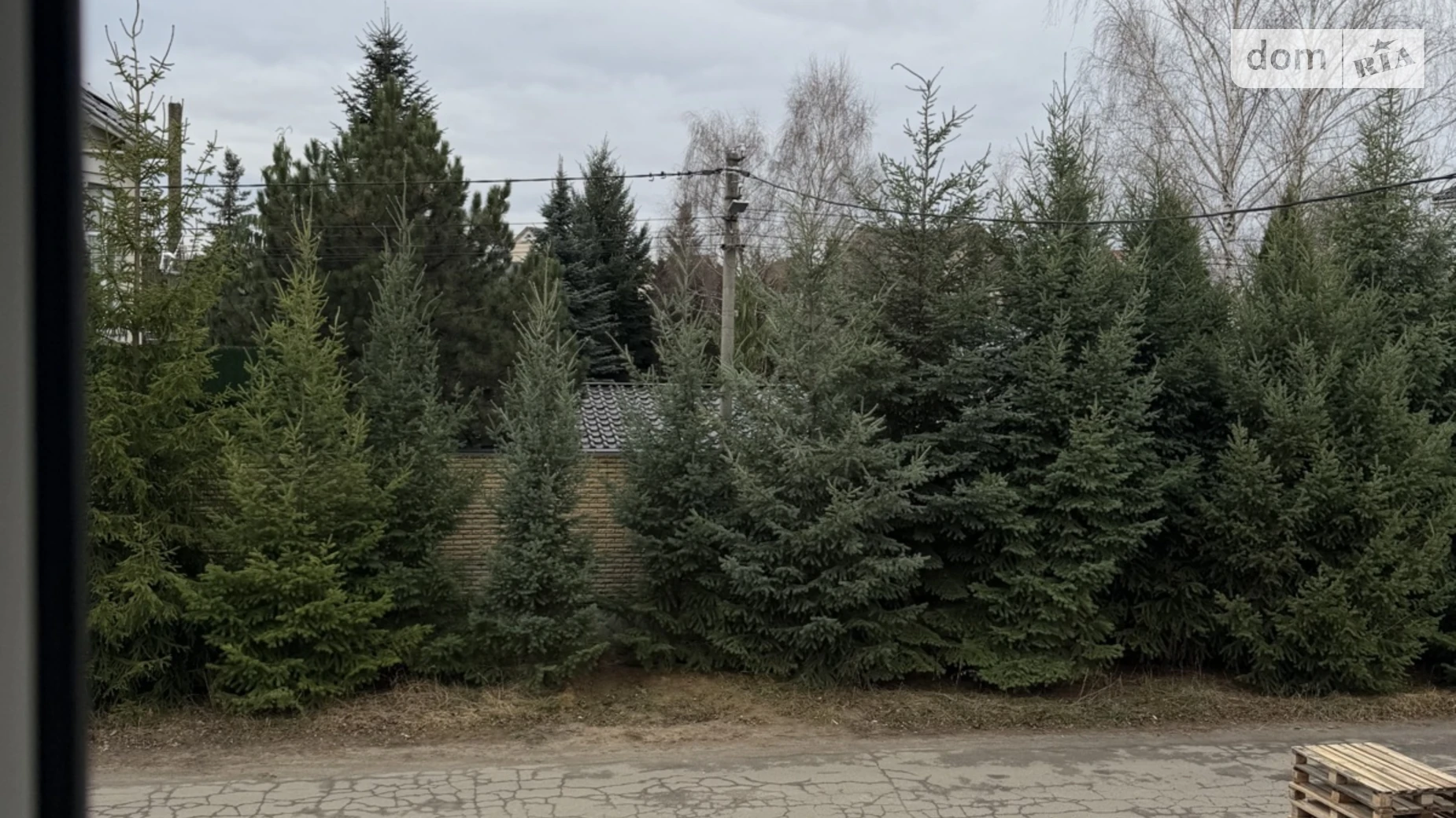 вул. Прорізна Софіївська Борщагівка, цена: 140000 $ - фото 5