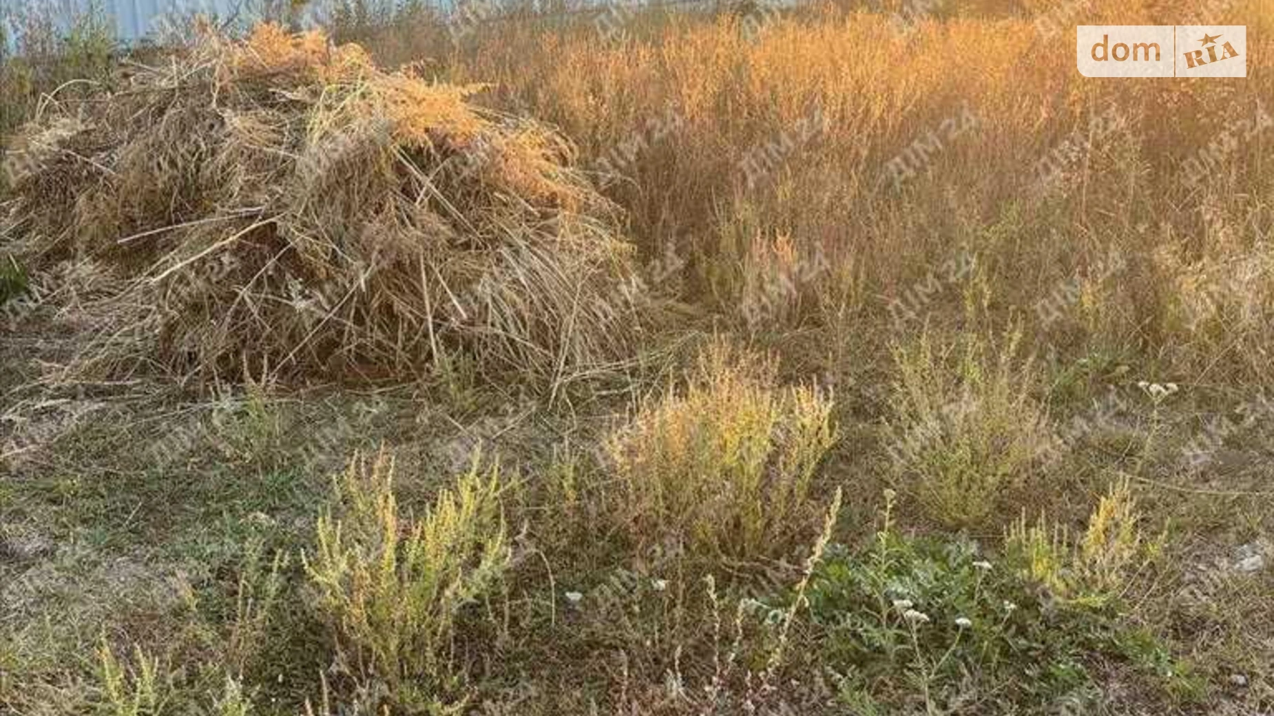 Продается земельный участок 10 соток в Полтавской области, цена: 33000 $ - фото 3