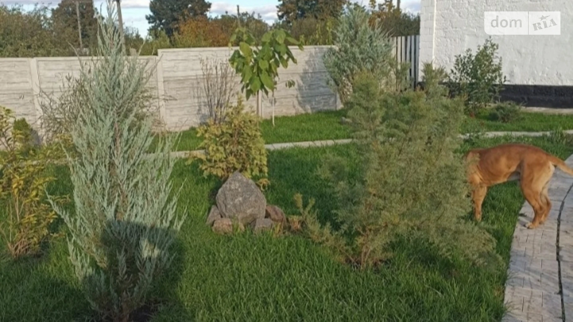 Продается дом на 2 этажа 70 кв. м с подвалом, цена: 60000 $ - фото 5