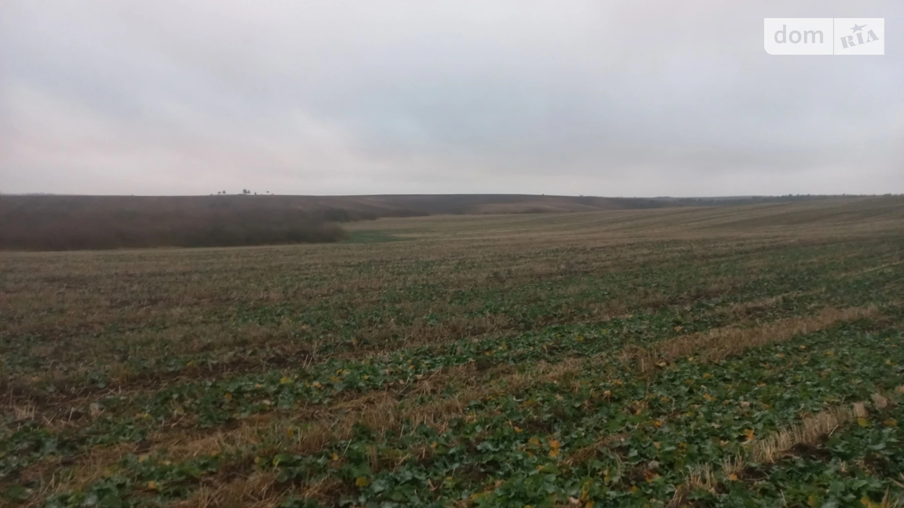 Продается земельный участок 300 соток в Ровенской области, цена: 65000 $ - фото 3