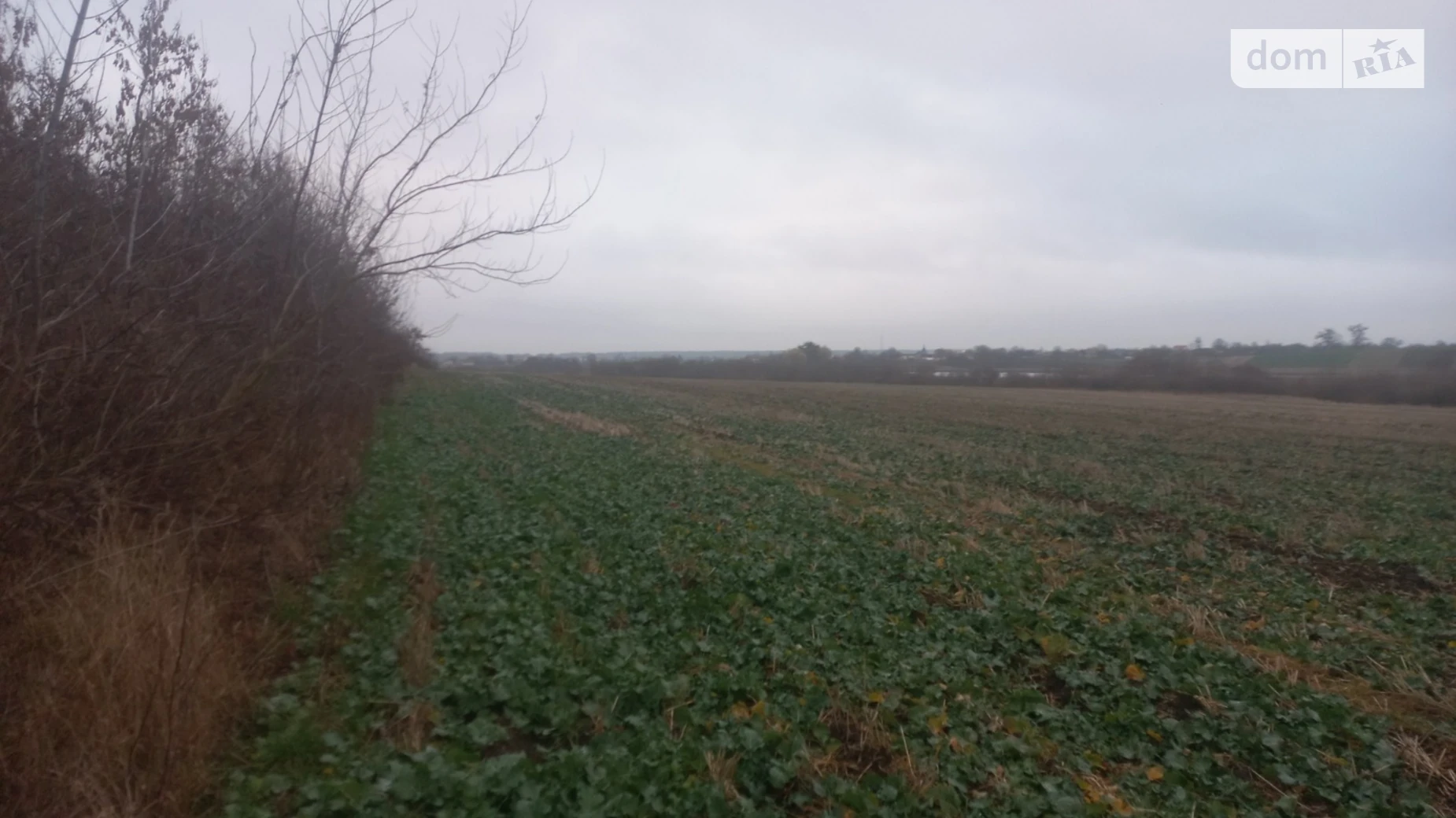 Продается земельный участок 300 соток в Ровенской области, цена: 65000 $ - фото 4