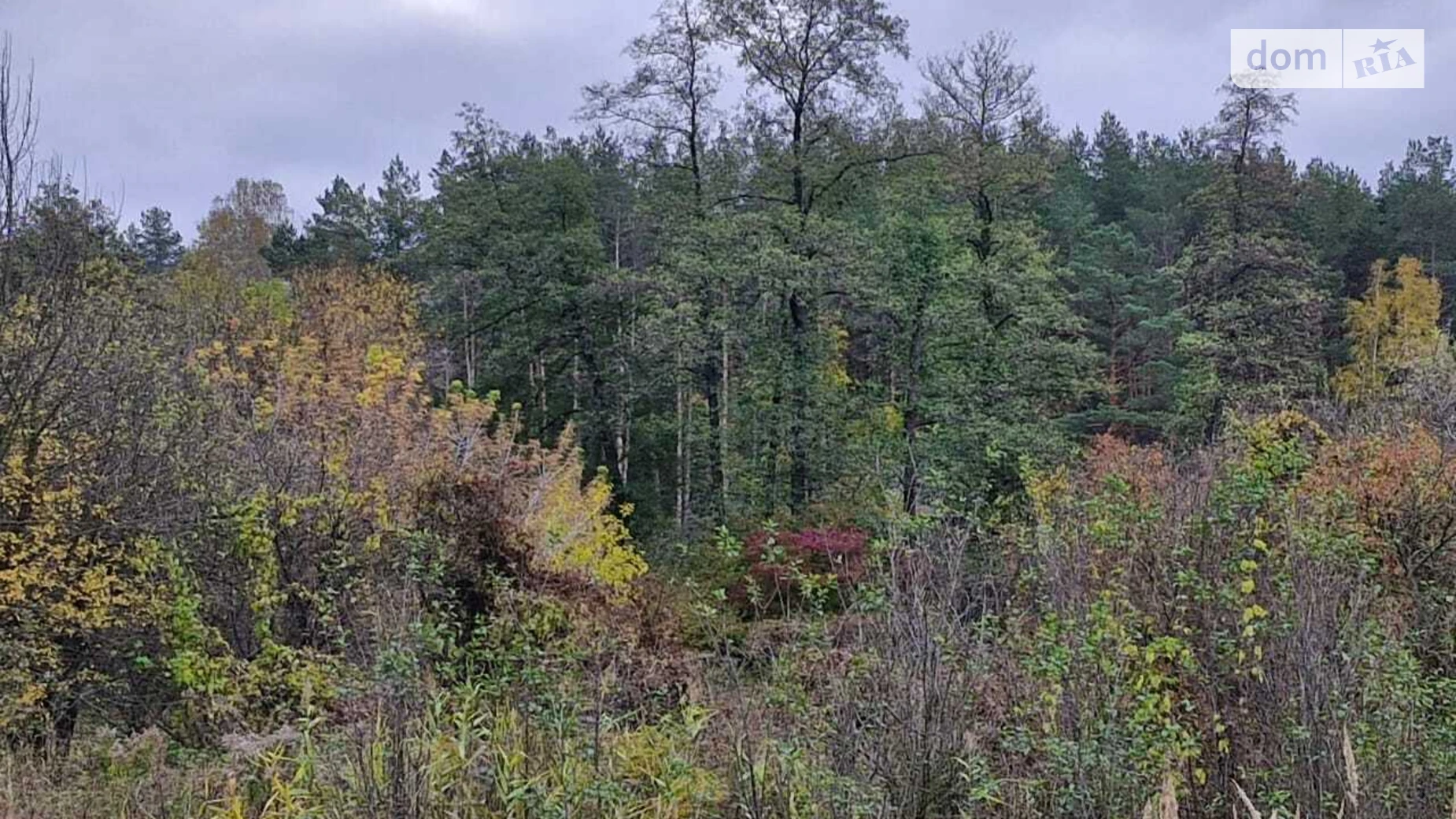 Васильков, цена: 16000 $ - фото 4