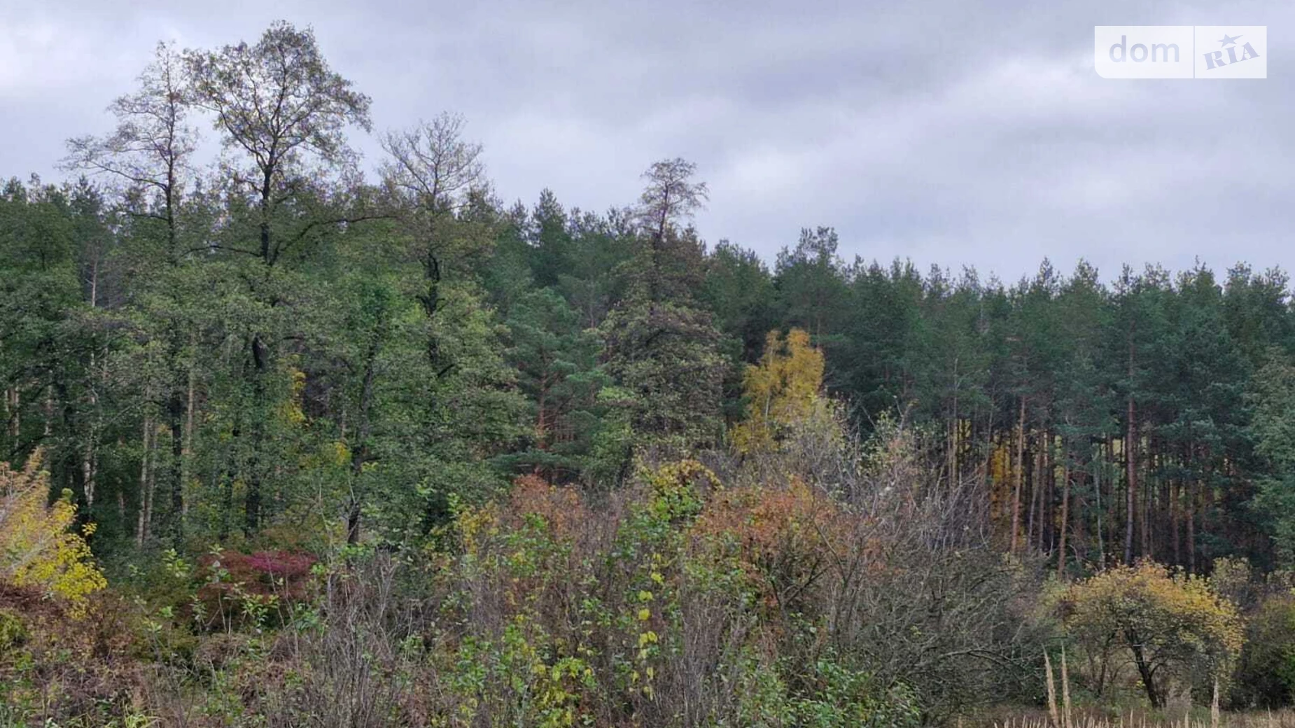 Васильков, цена: 16000 $ - фото 5