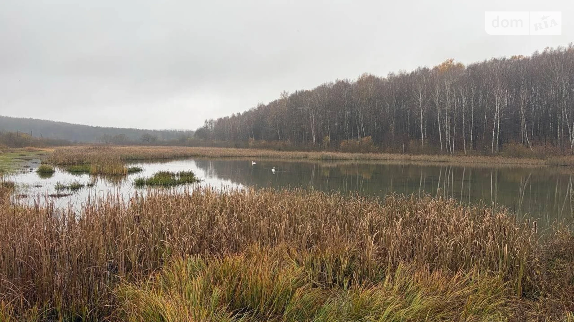 Сдается в аренду земельный участок 2.1692 соток в Винницкой области, цена: 3351 грн - фото 2