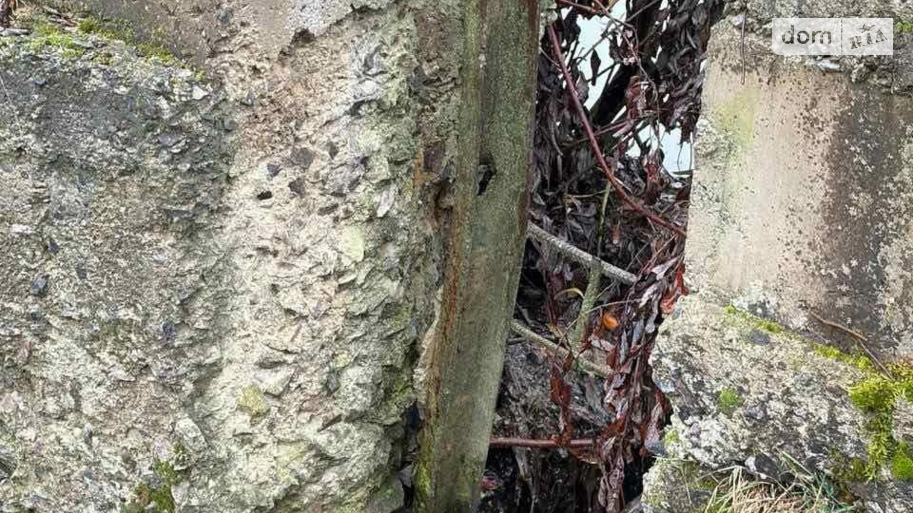 Сдается в аренду земельный участок 2.1692 соток в Винницкой области, цена: 3351 грн - фото 4