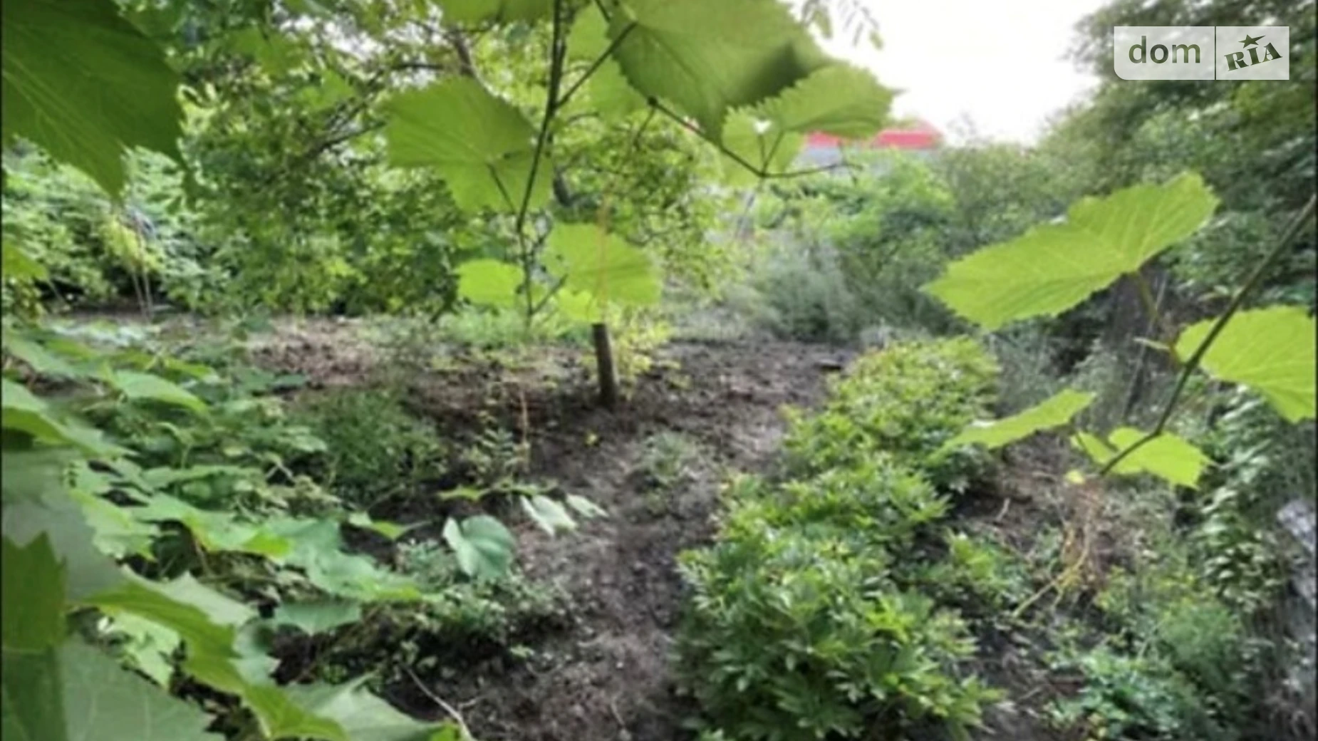 Продается одноэтажный дом 70 кв. м с мансардой, цена: 16000 $ - фото 3