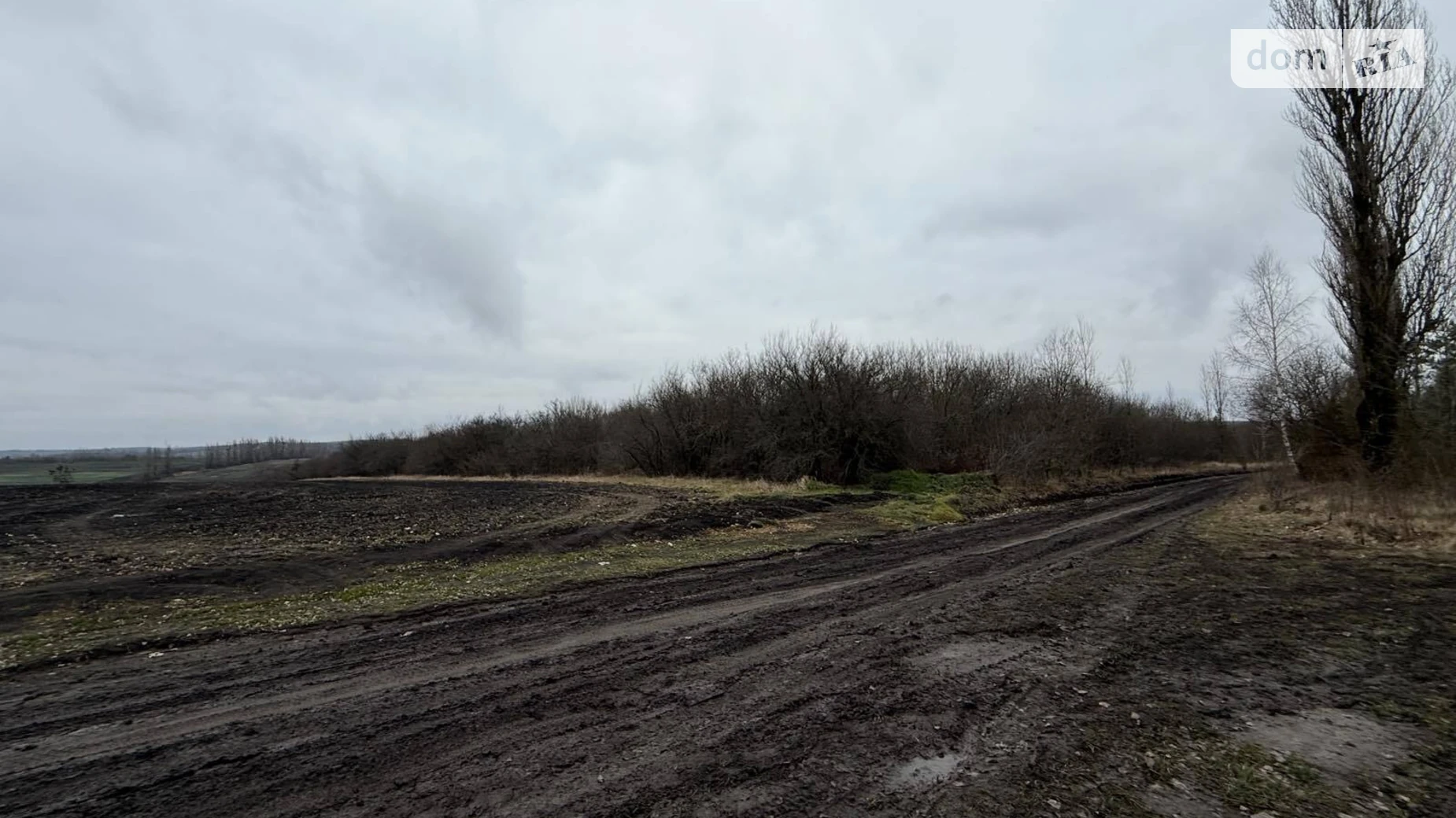 Продается земельный участок 12 соток в Хмельницкой области, цена: 13700 $ - фото 4