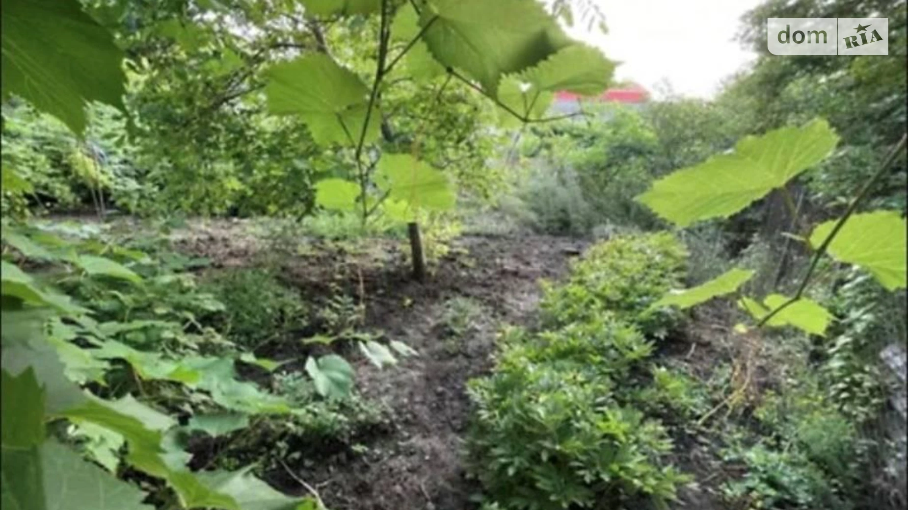 Продается одноэтажный дом 70 кв. м с балконом, цена: 16000 $ - фото 4