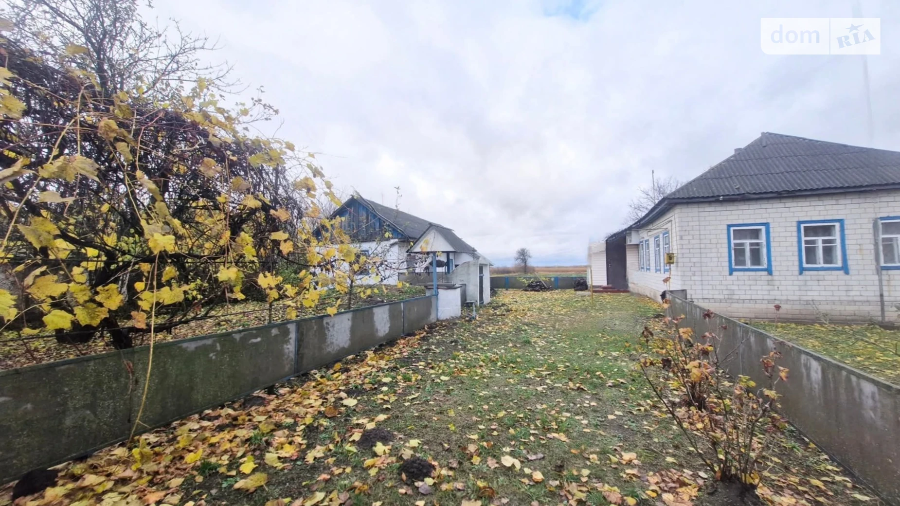 Продается одноэтажный дом 60 кв. м с подвалом, цена: 11000 $ - фото 4