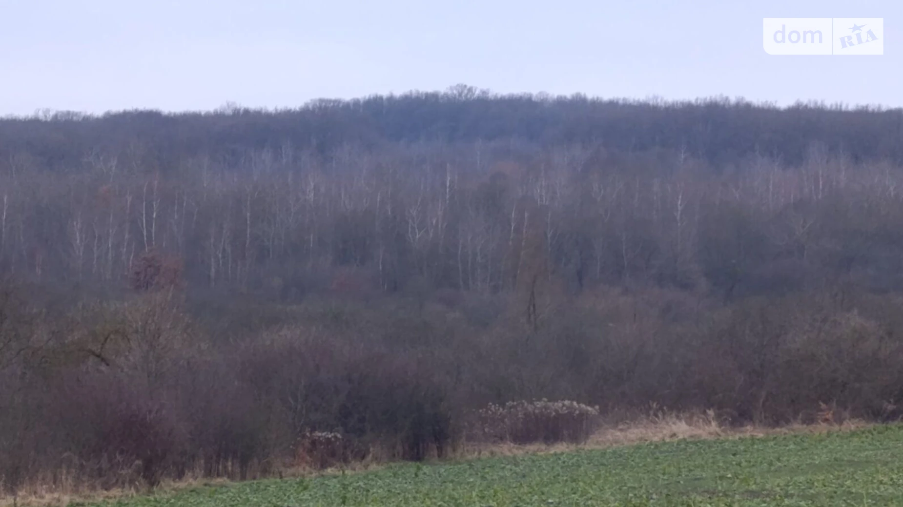 Сдается в аренду земельный участок 14.2157 соток в Львовской области, цена: 25655 грн - фото 3