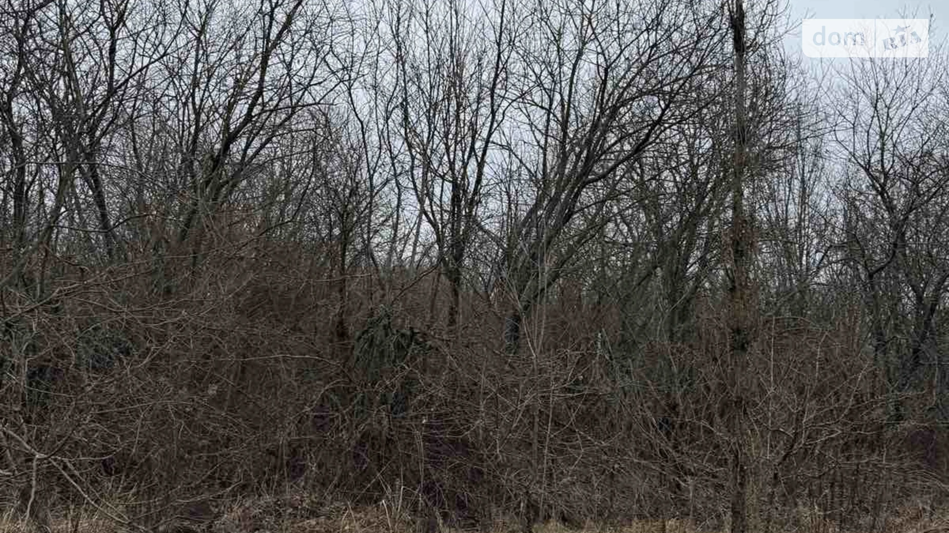 Продается земельный участок 20 соток в Хмельницкой области, цена: 22000 $ - фото 2