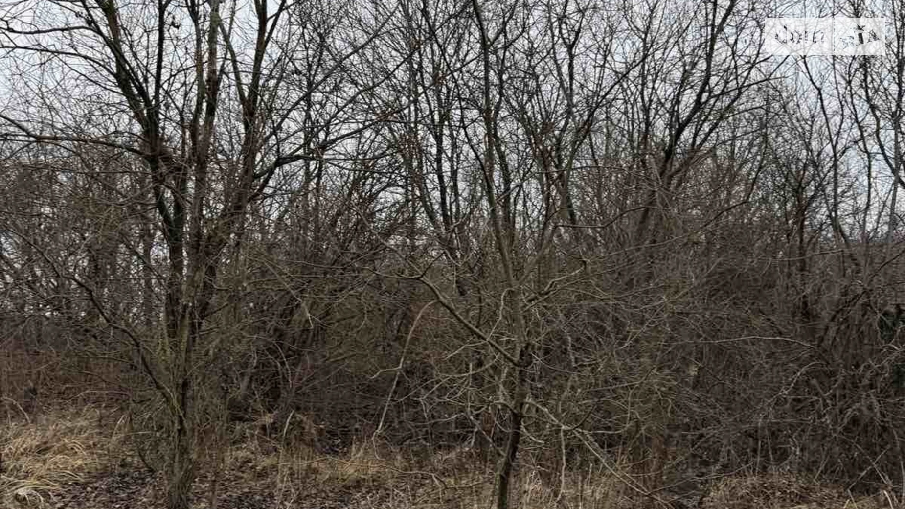 Продается земельный участок 20 соток в Хмельницкой области, цена: 22000 $ - фото 3