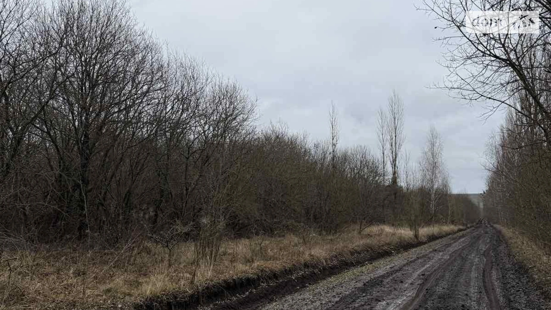 Продается земельный участок 20 соток в Хмельницкой области, цена: 22000 $ - фото 5