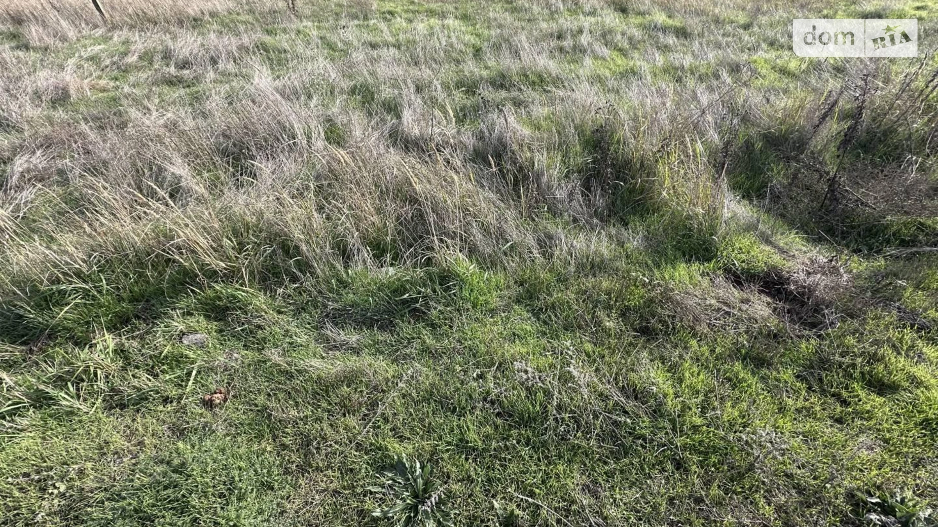 Продается земельный участок 9 соток в  области, цена: 9000 $ - фото 3