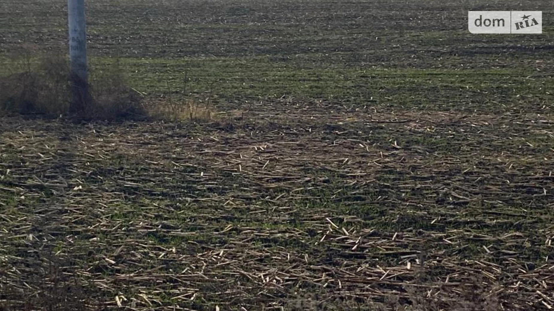 Продается земельный участок 178 соток в Киевской области, цена: 119000 $ - фото 4