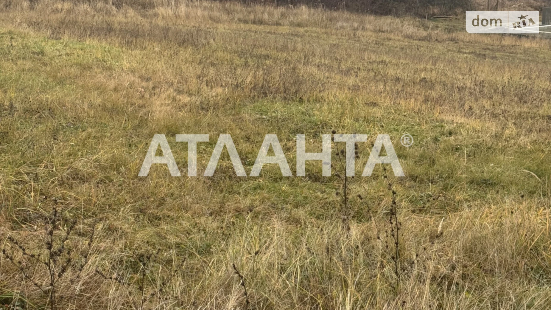 Продается земельный участок 26 соток в Закарпатской области, цена: 260000 $ - фото 3