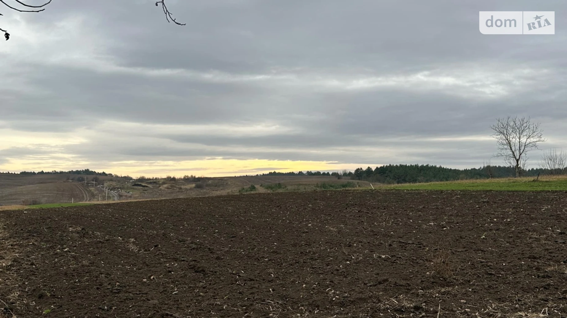 Продается земельный участок 22.5 соток в Ровенской области, цена: 8999 $ - фото 2