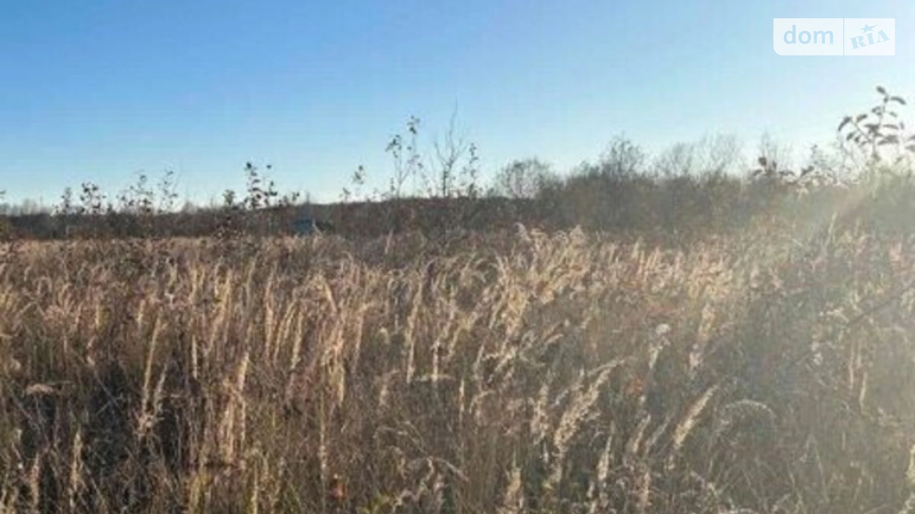 Продається земельна ділянка 81.5 соток у Івано-Франківській області, цена: 165000 $ - фото 3