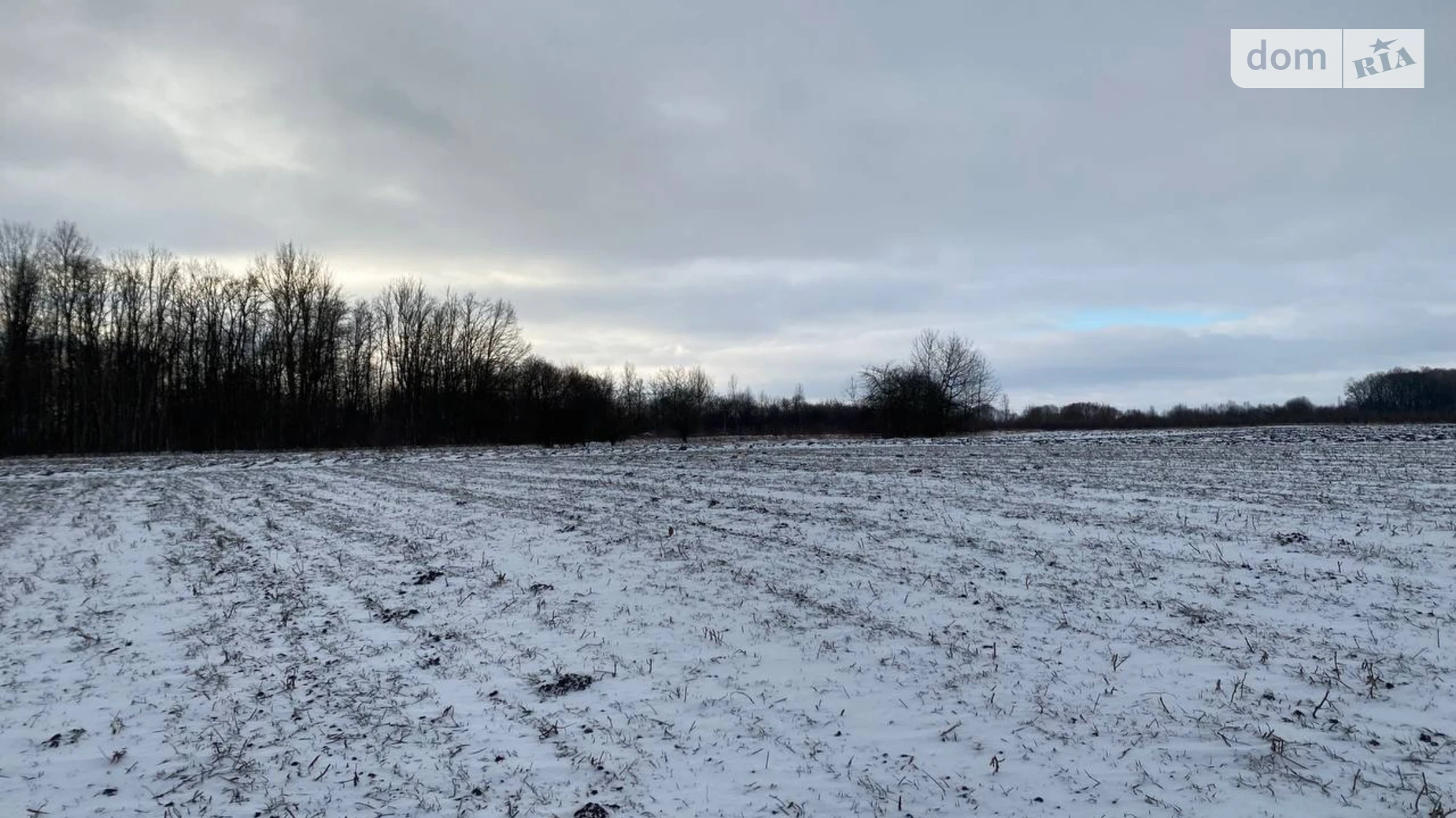 Продається земельна ділянка 54 соток у Тернопільській області, цена: 8000 $ - фото 3